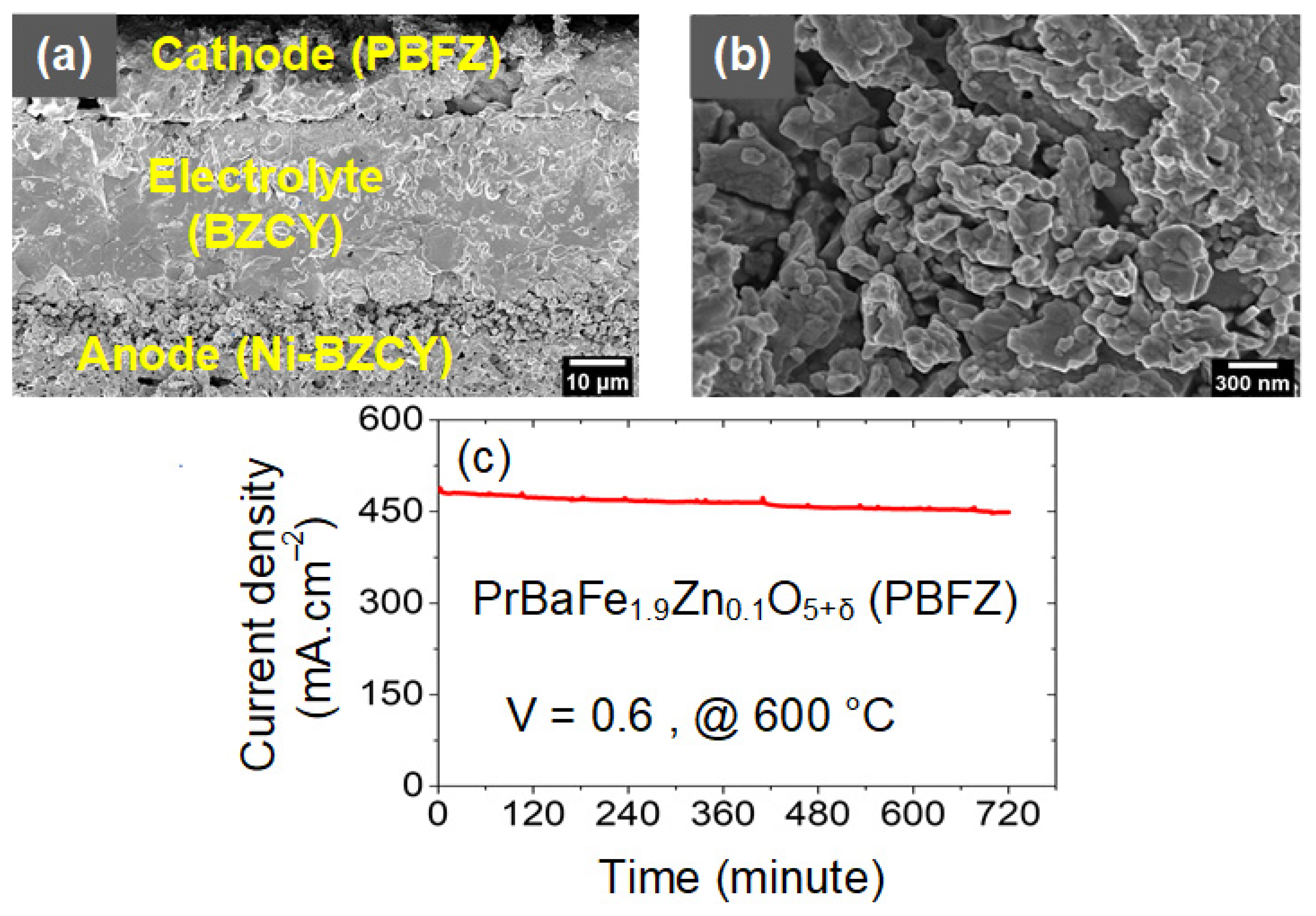 Catalysts 12 00488 g006