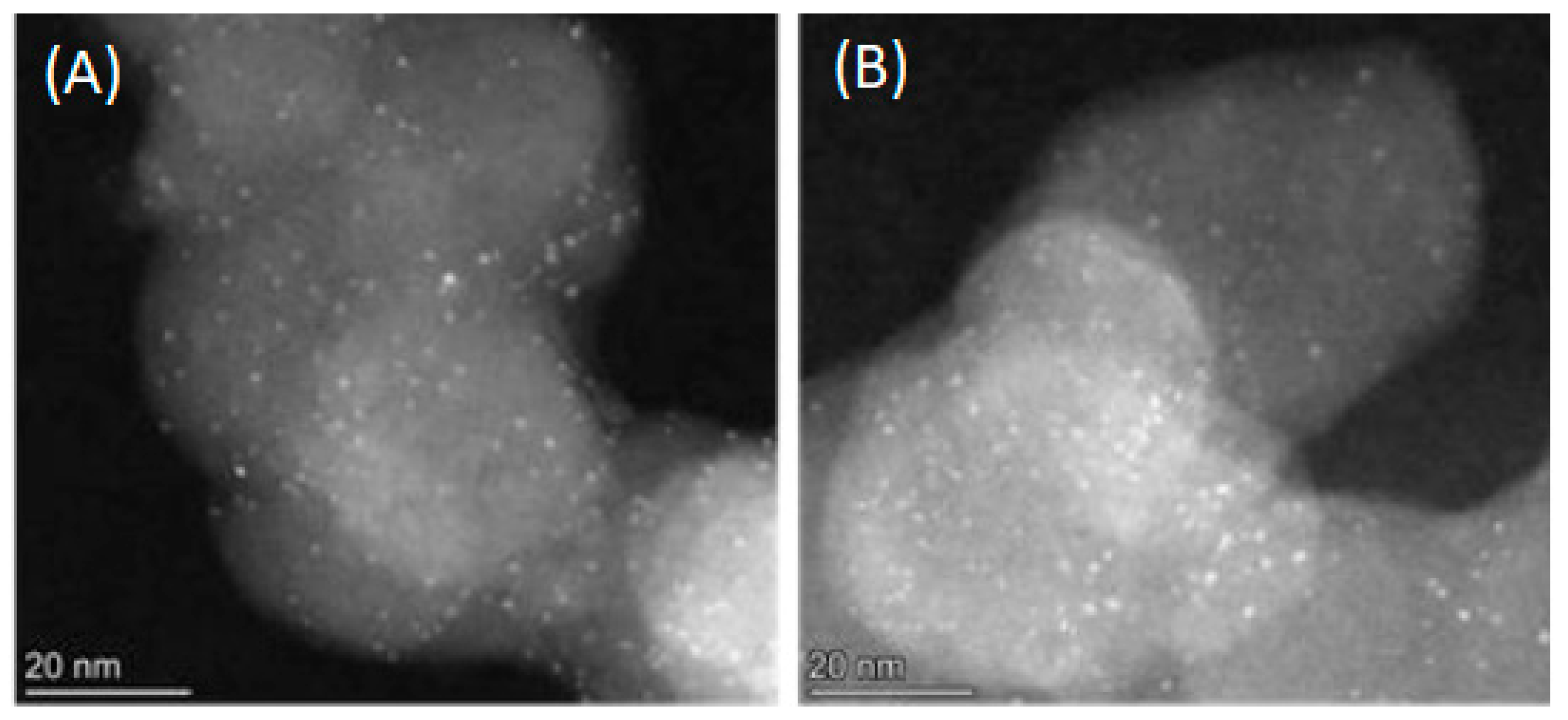 Catalysts 12 00505 g005