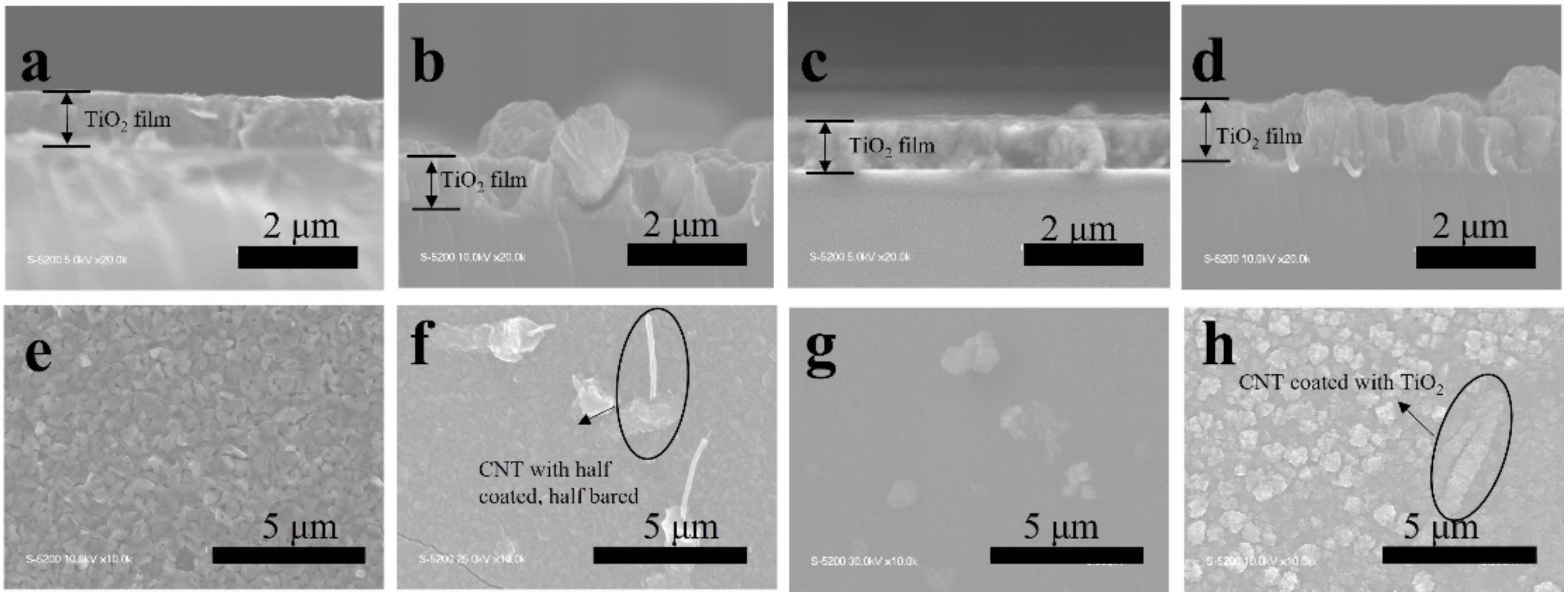 Catalysts 12 00508 g002