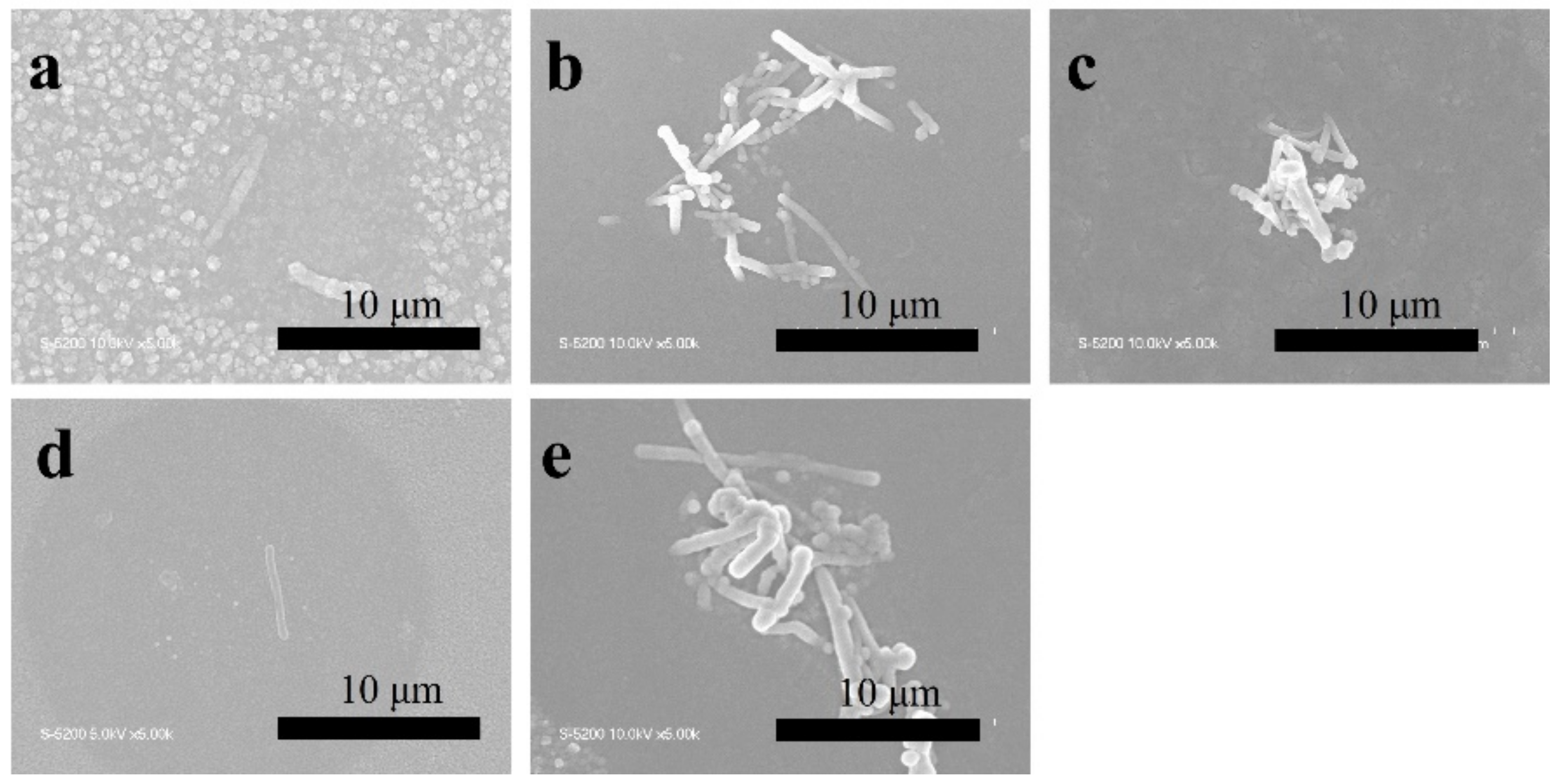 Catalysts 12 00508 g004