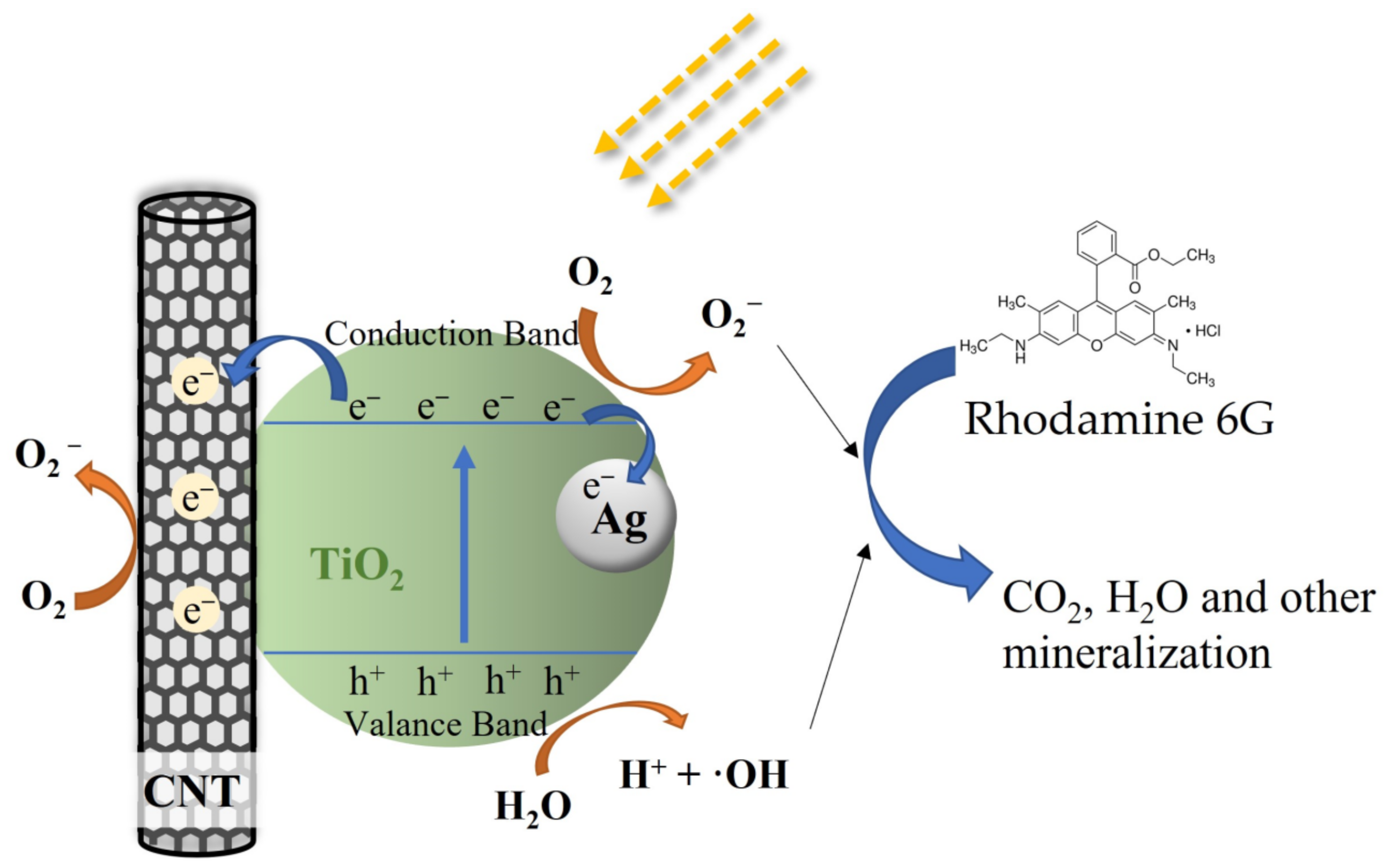 Catalysts 12 00508 g011
