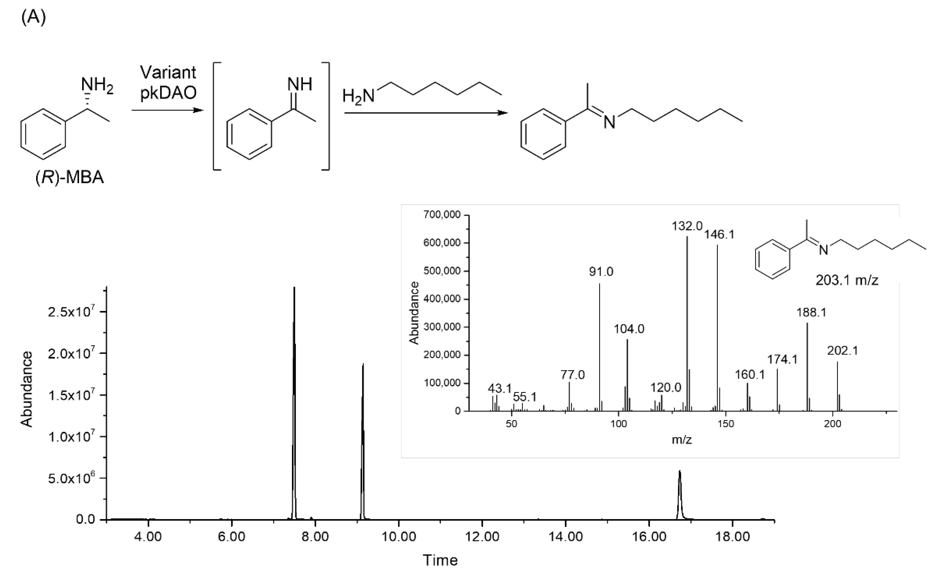 Catalysts 12 00511 g003a