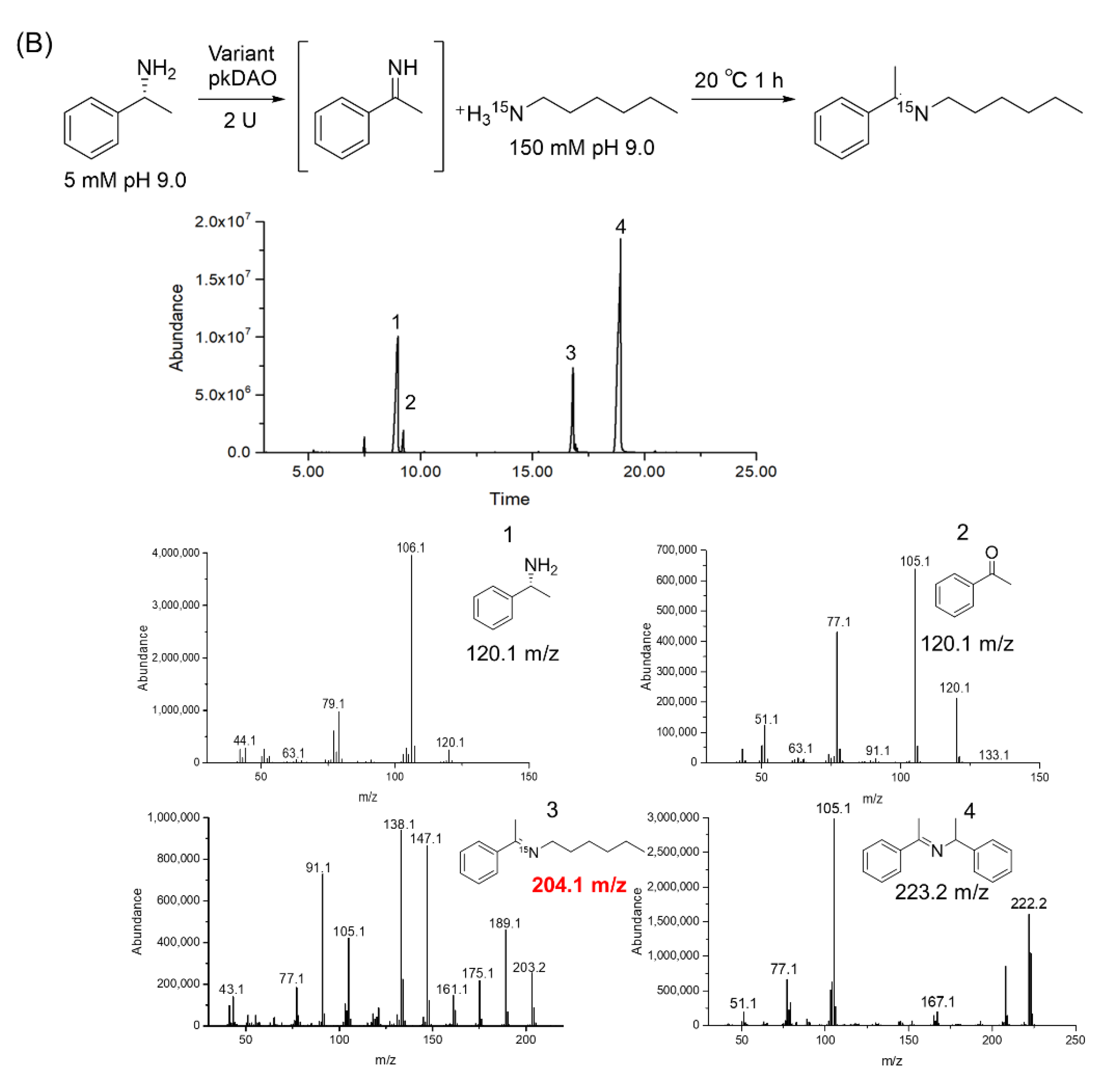 Catalysts 12 00511 g003b