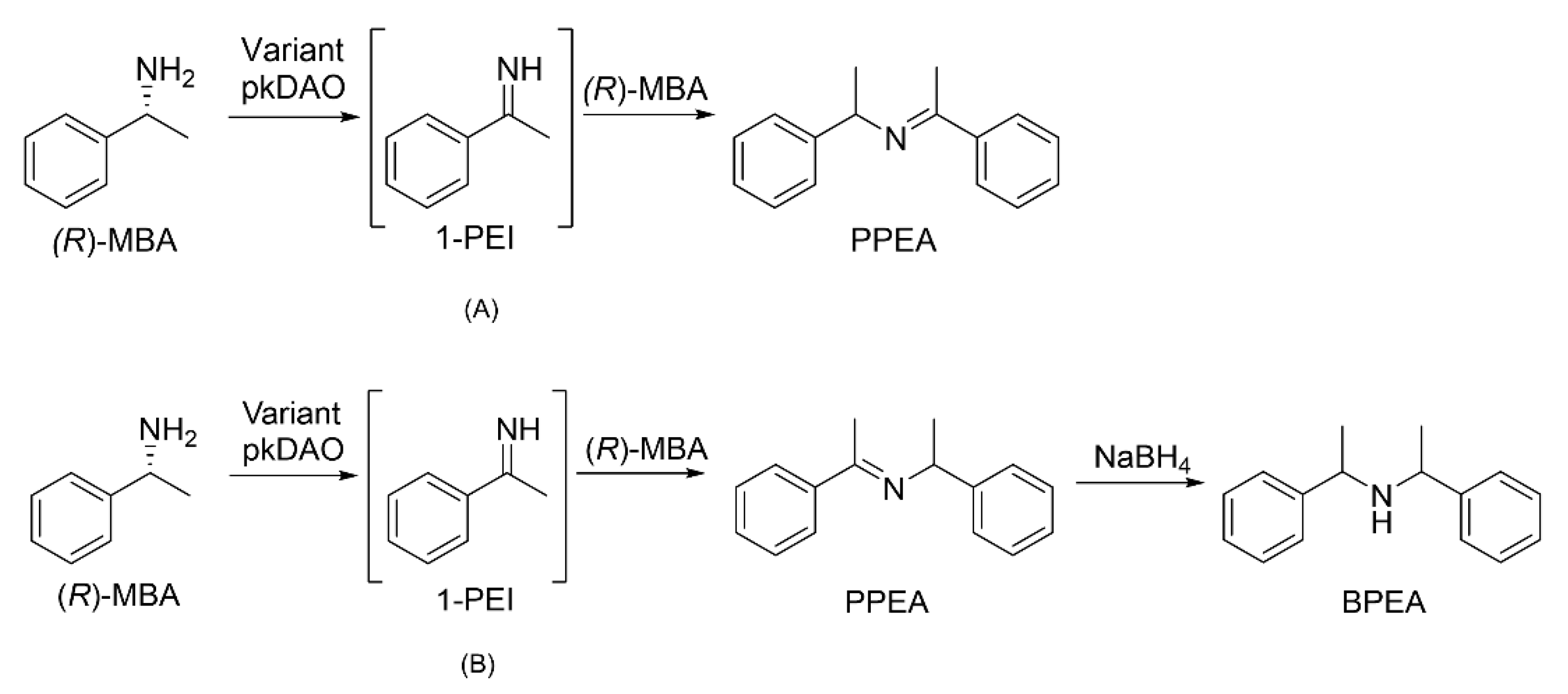 Catalysts 12 00511 sch001