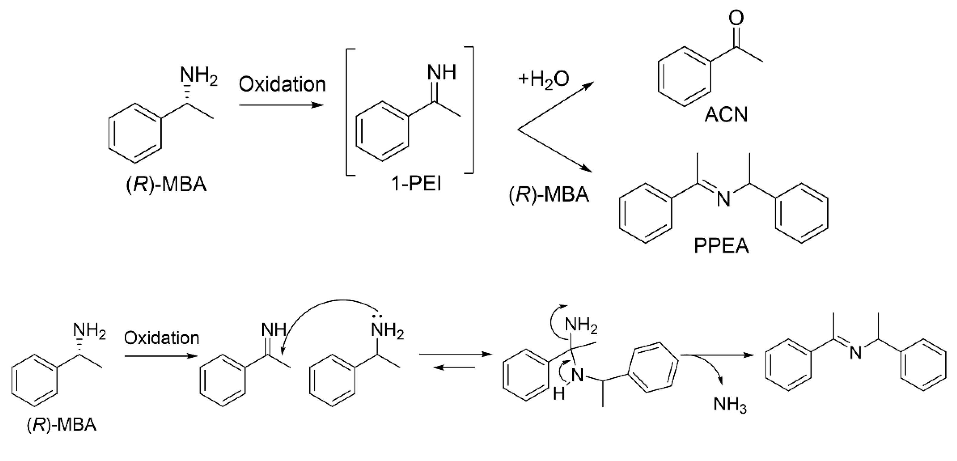 Catalysts 12 00511 sch002