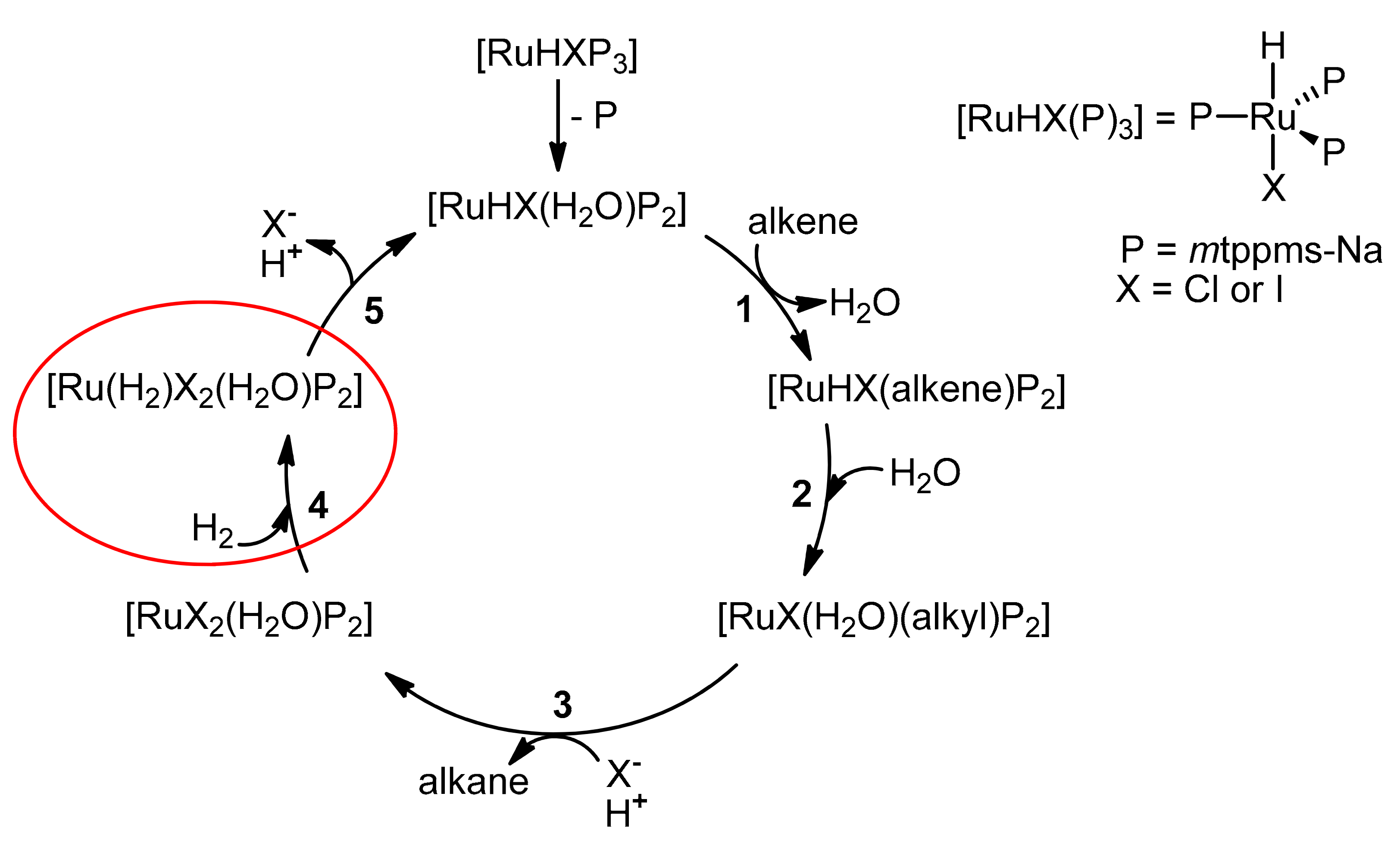 Catalysts 12 00518 g005