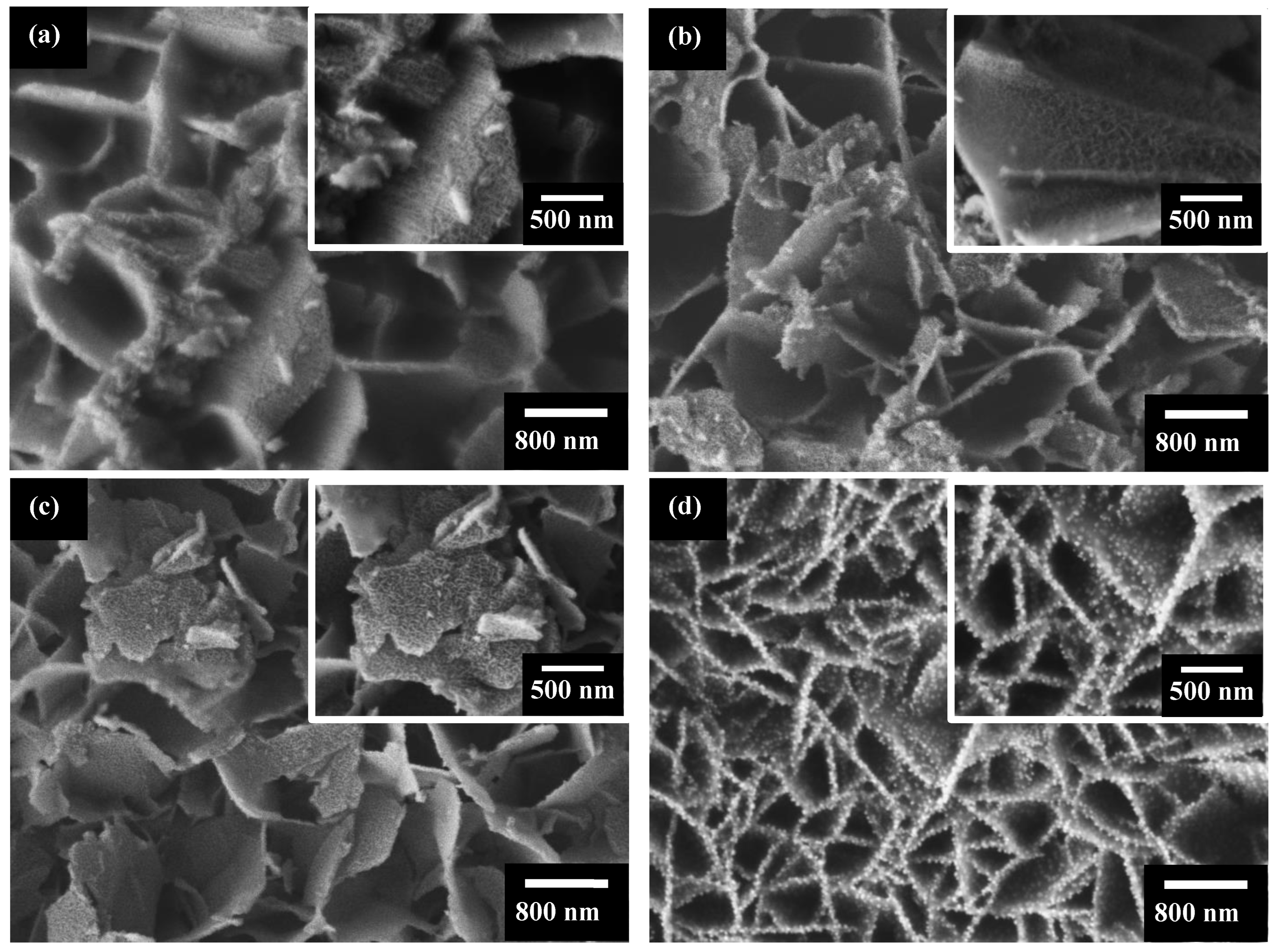Catalysts 12 00520 g004