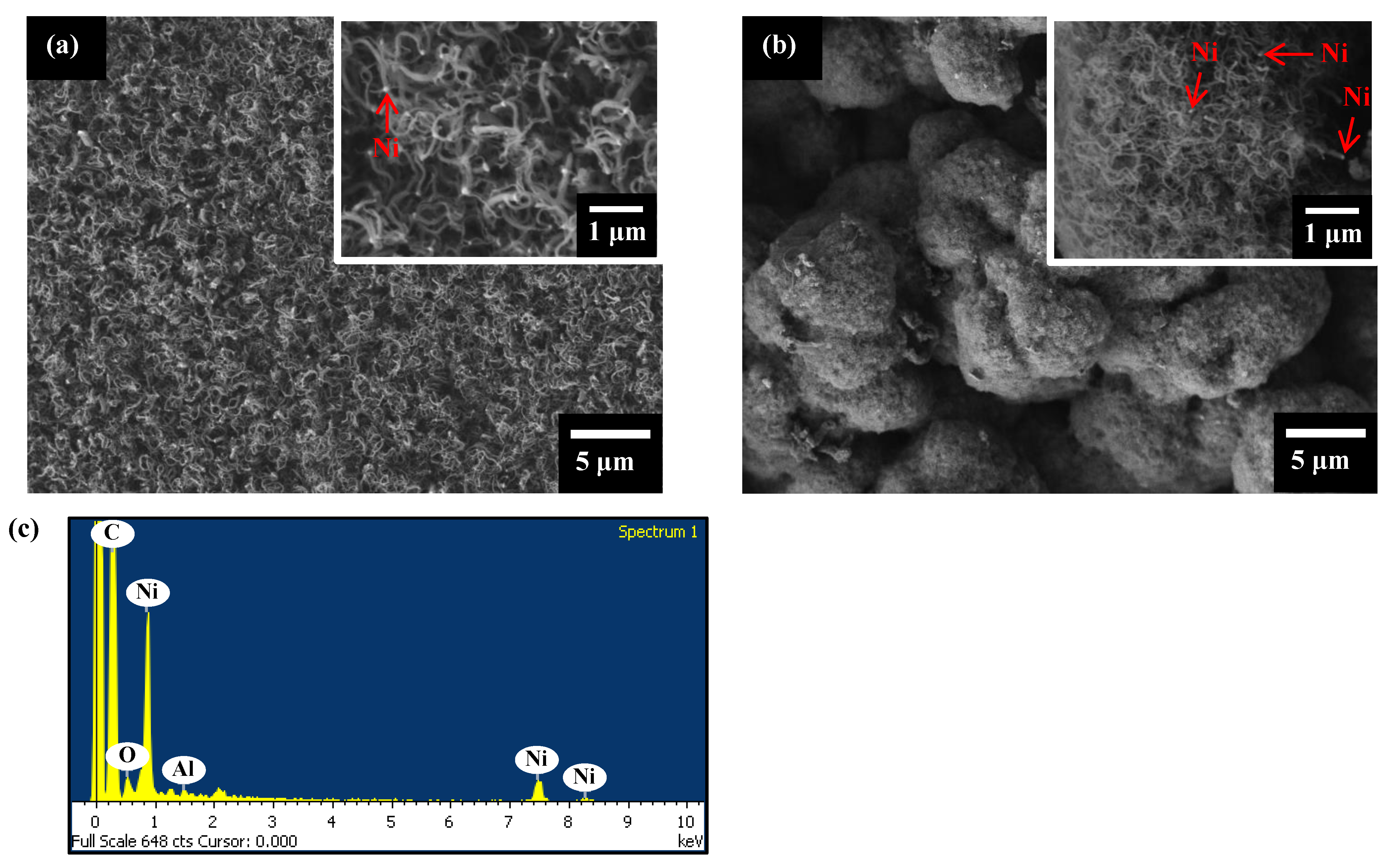 Catalysts 12 00520 g011