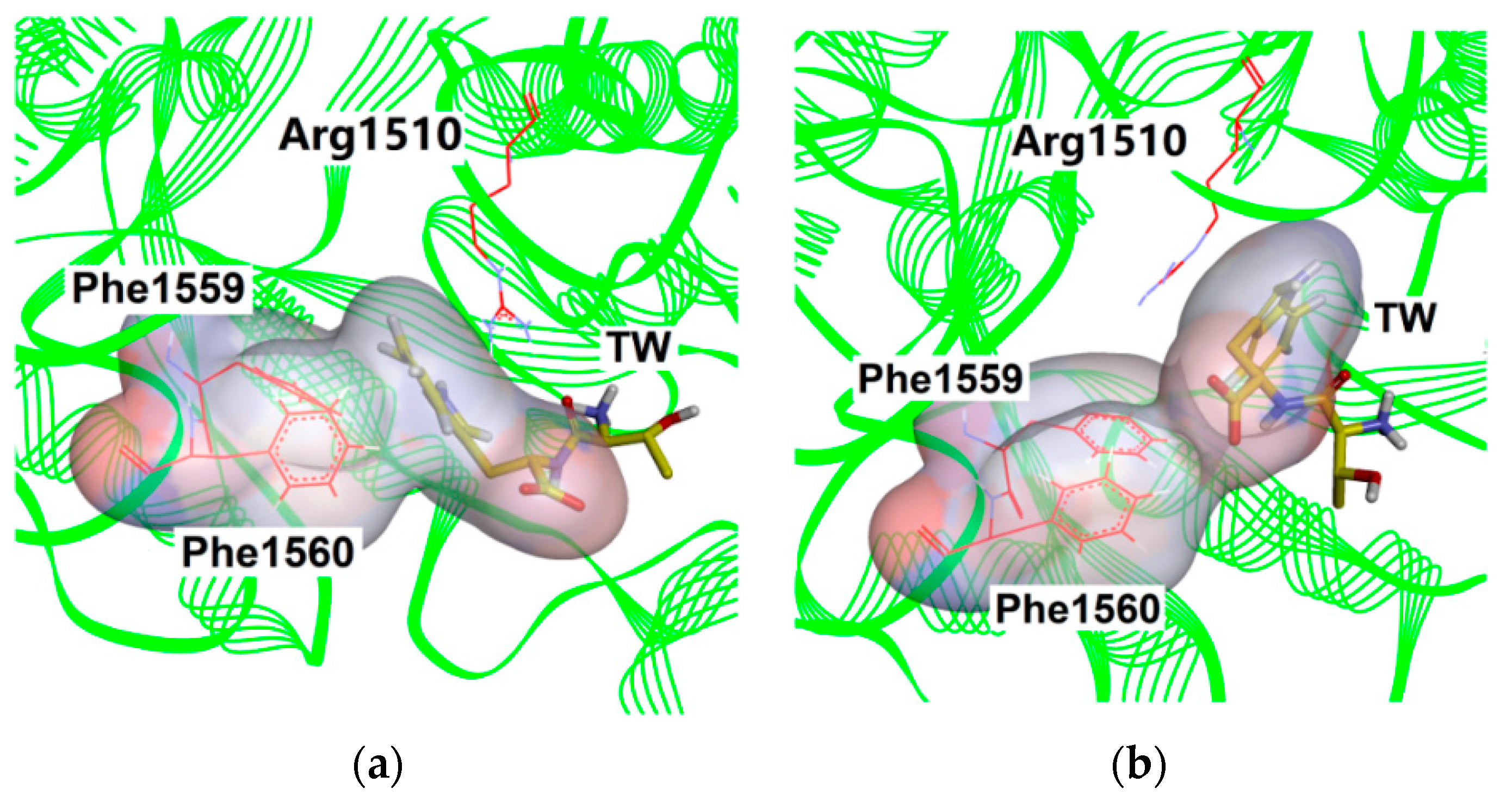Catalysts 12 00522 g006