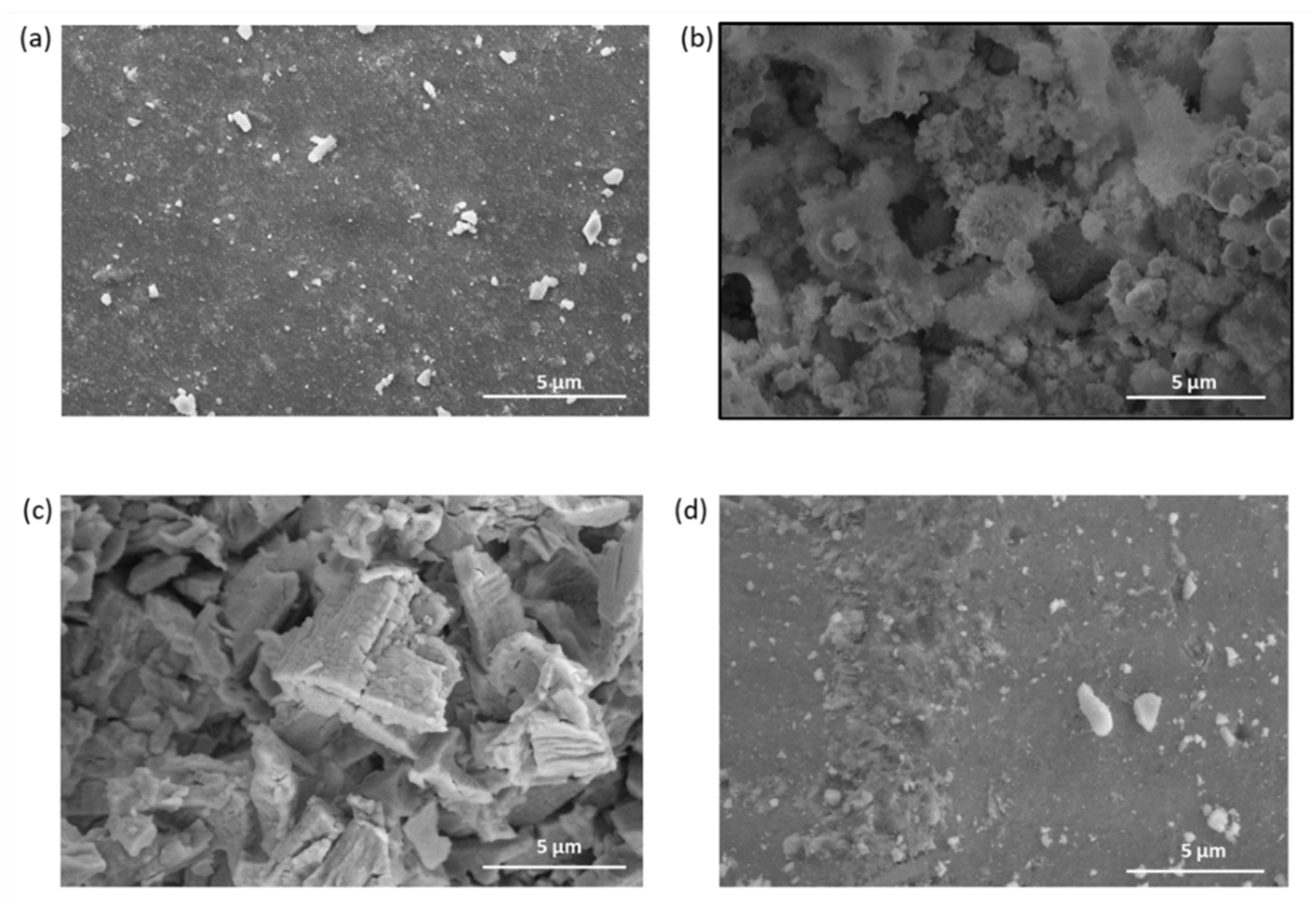 Catalysts 12 00524 g001