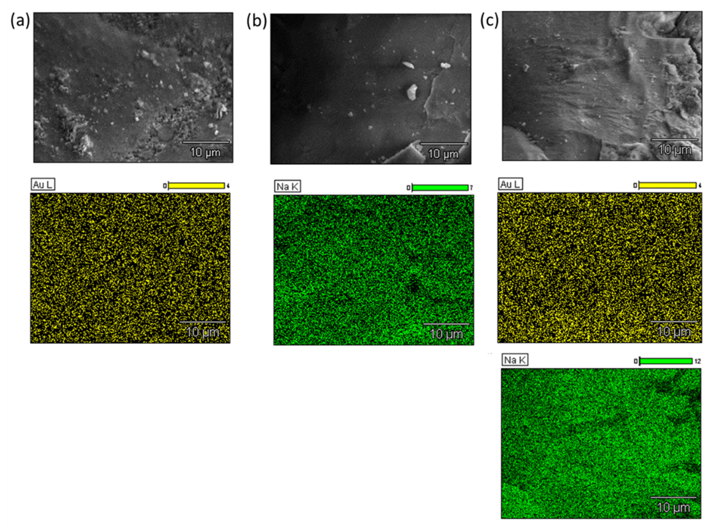 Catalysts 12 00524 g008