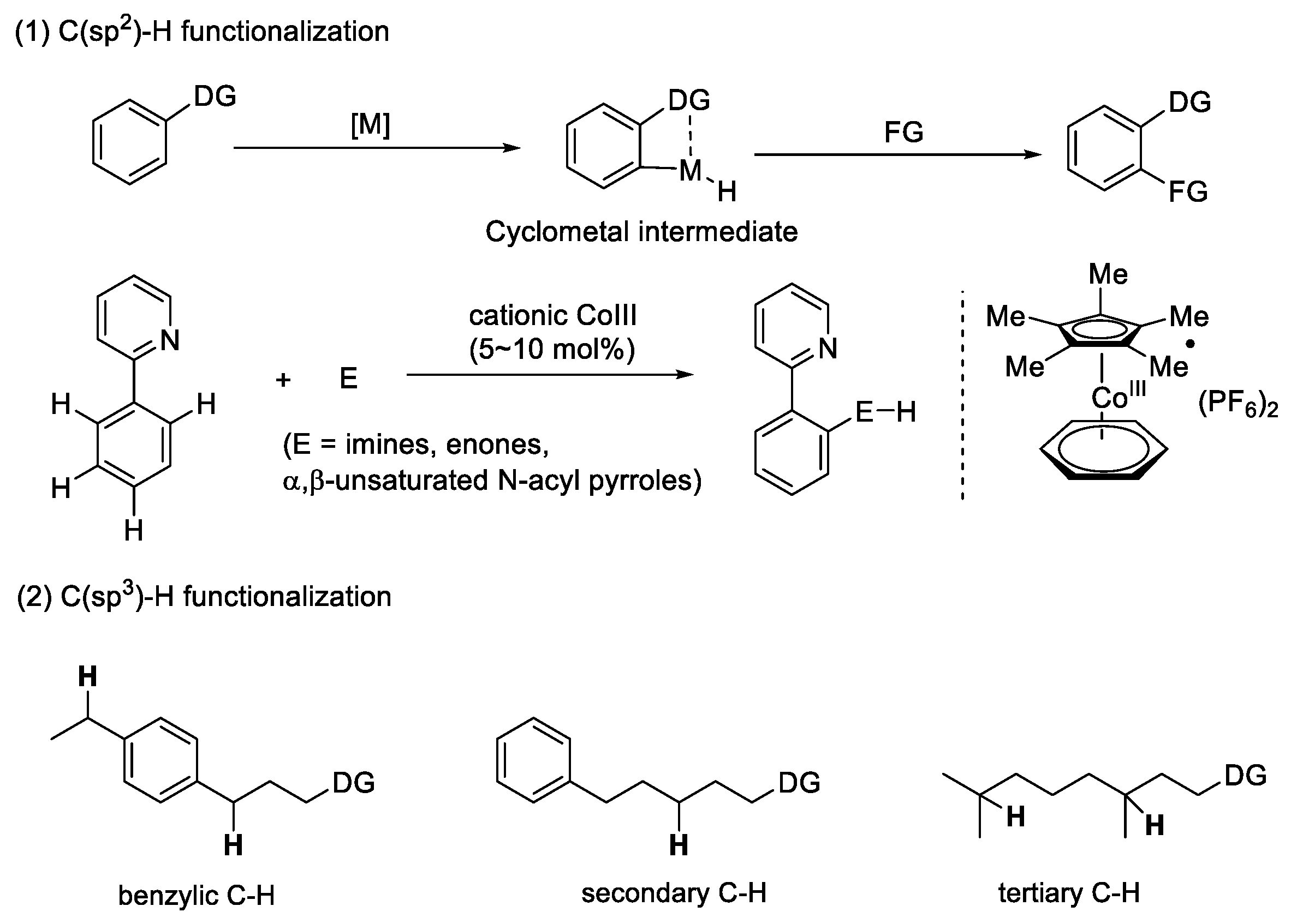 Catalysts 12 00537 g001