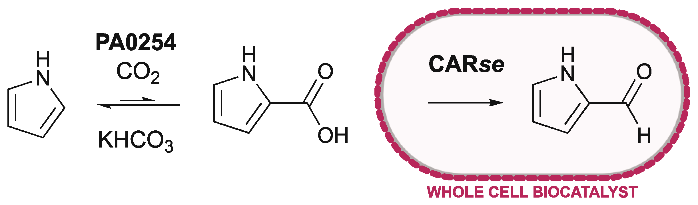 Catalysts 12 00538 g001