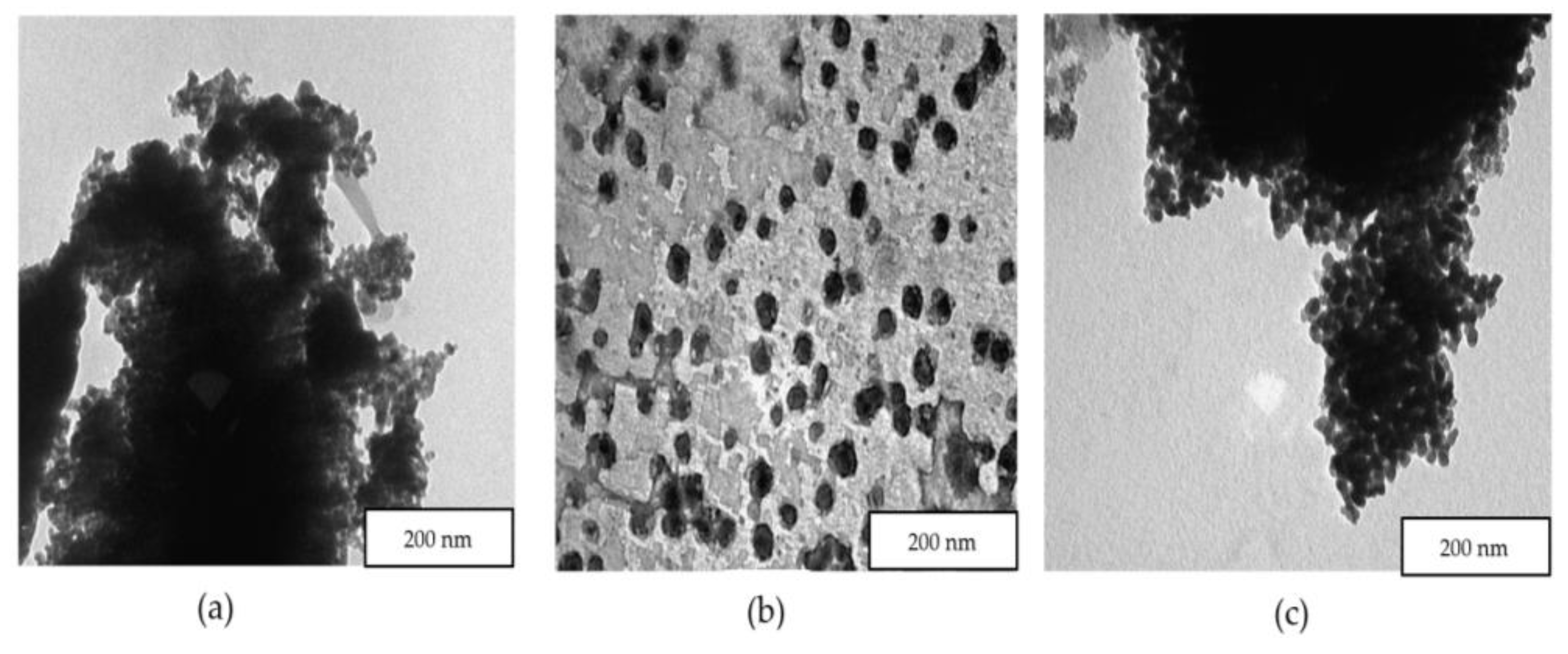 Catalysts 12 00539 g003