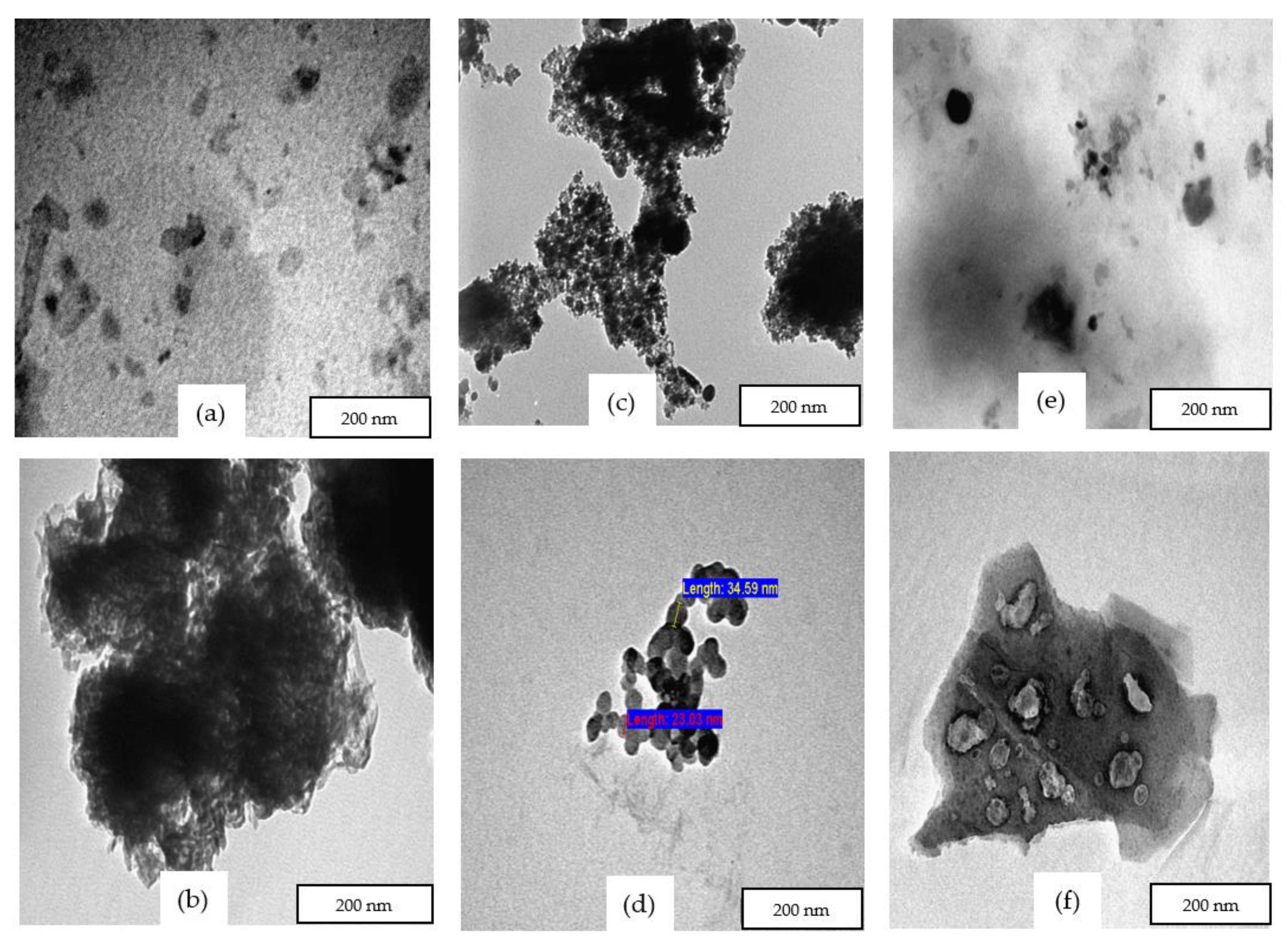 Catalysts 12 00539 g004