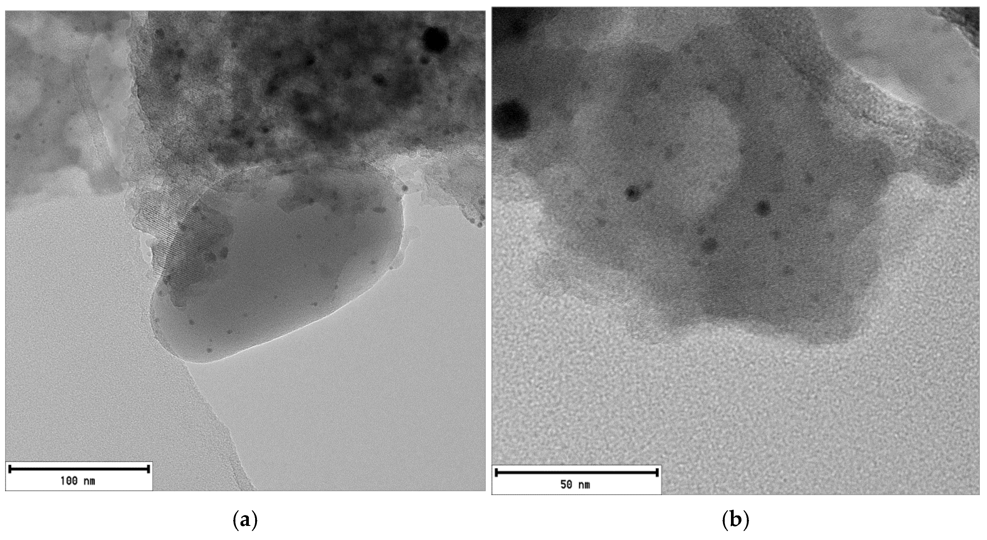 Catalysts 12 00543 g001