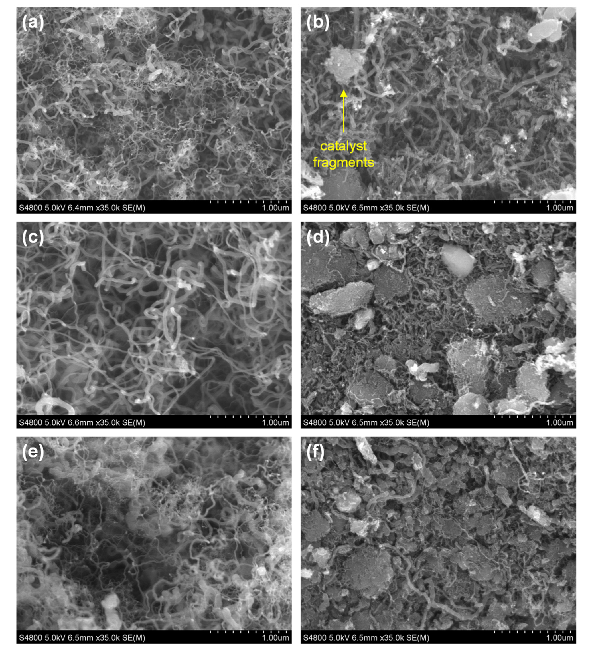Catalysts 12 00550 g007 Catalysts 12 00550 g007