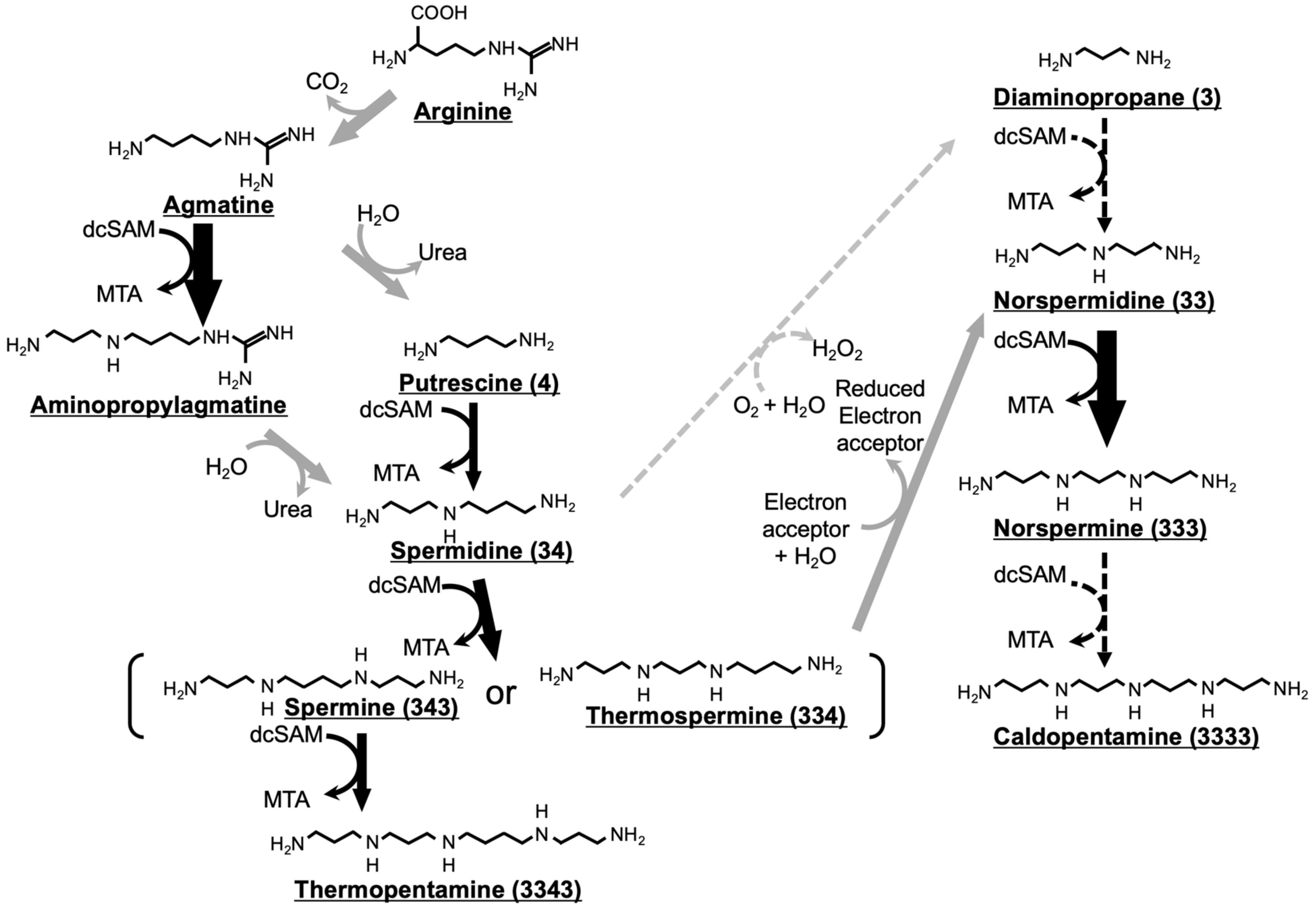 Catalysts 12 00567 g001