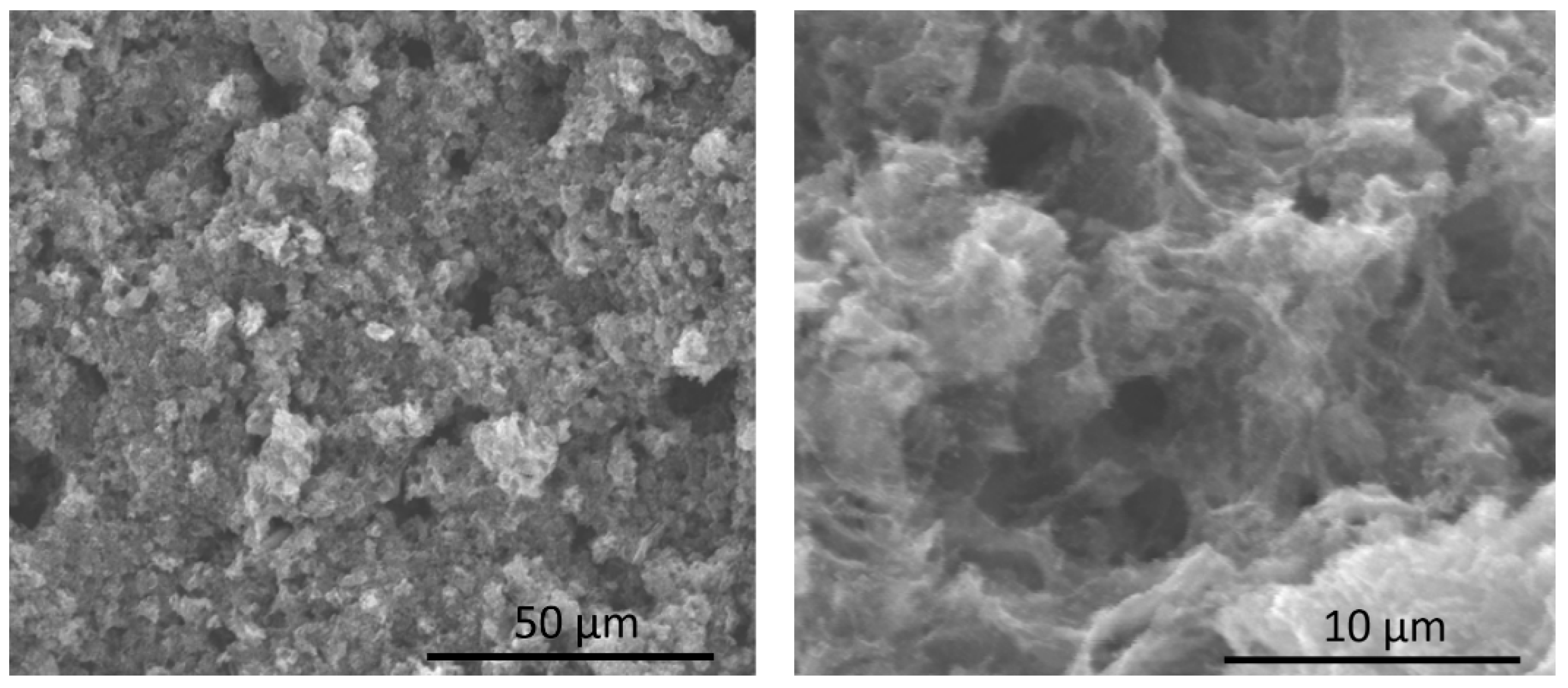 Catalysts 12 00568 g001