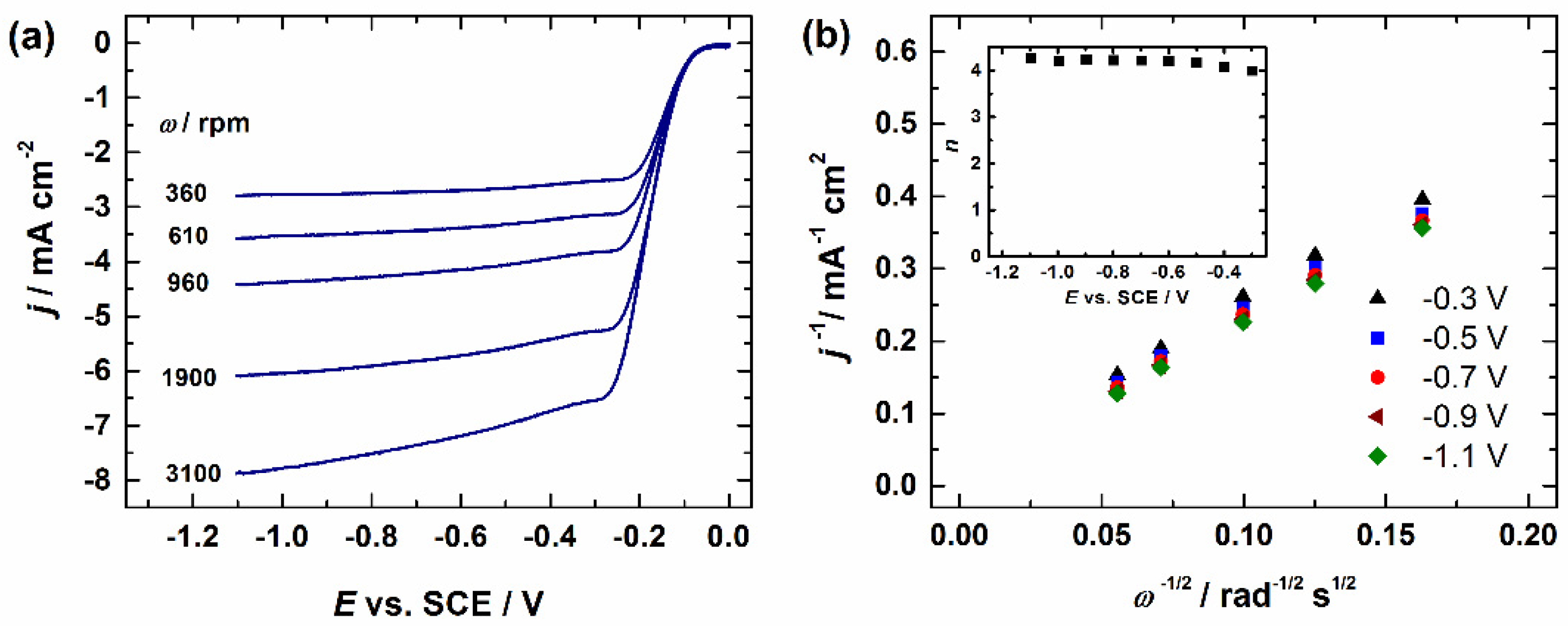 Catalysts 12 00568 g005
