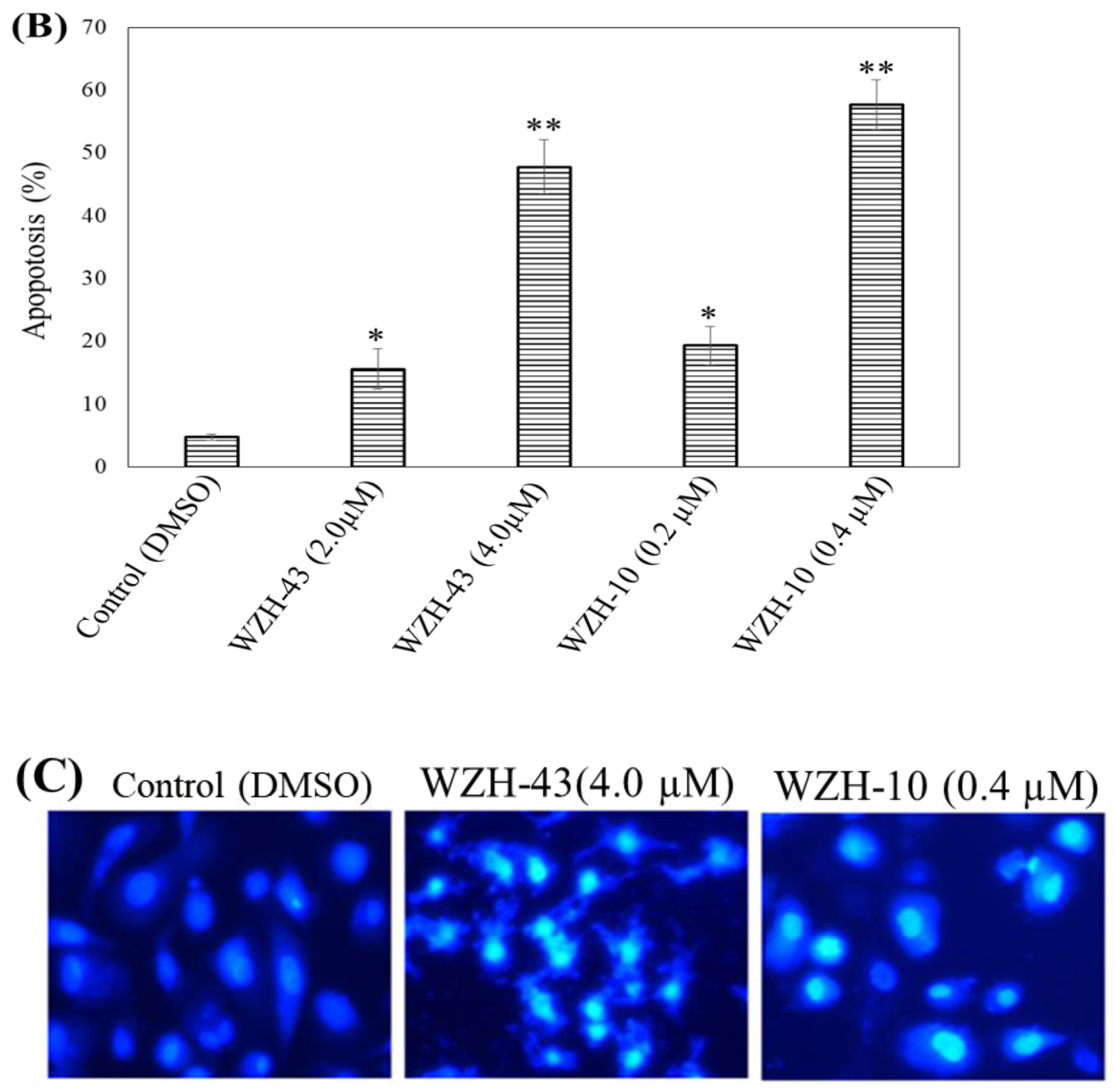 Catalysts 12 00582 g002b Catalysts 12 00582 g002b