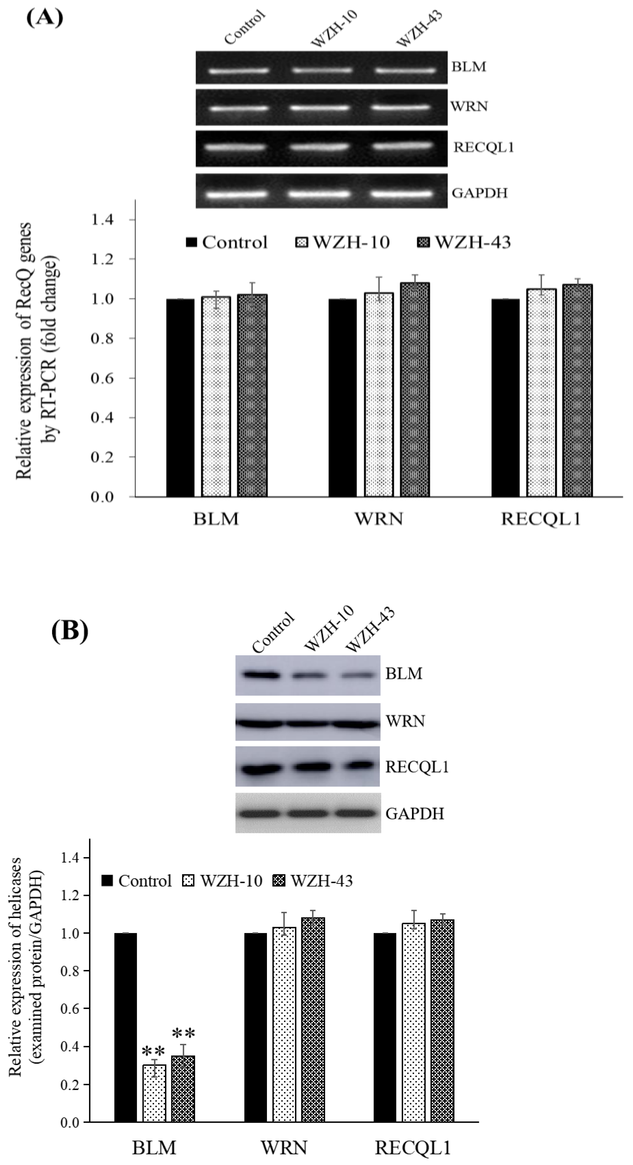 Catalysts 12 00582 g004 Catalysts 12 00582 g004