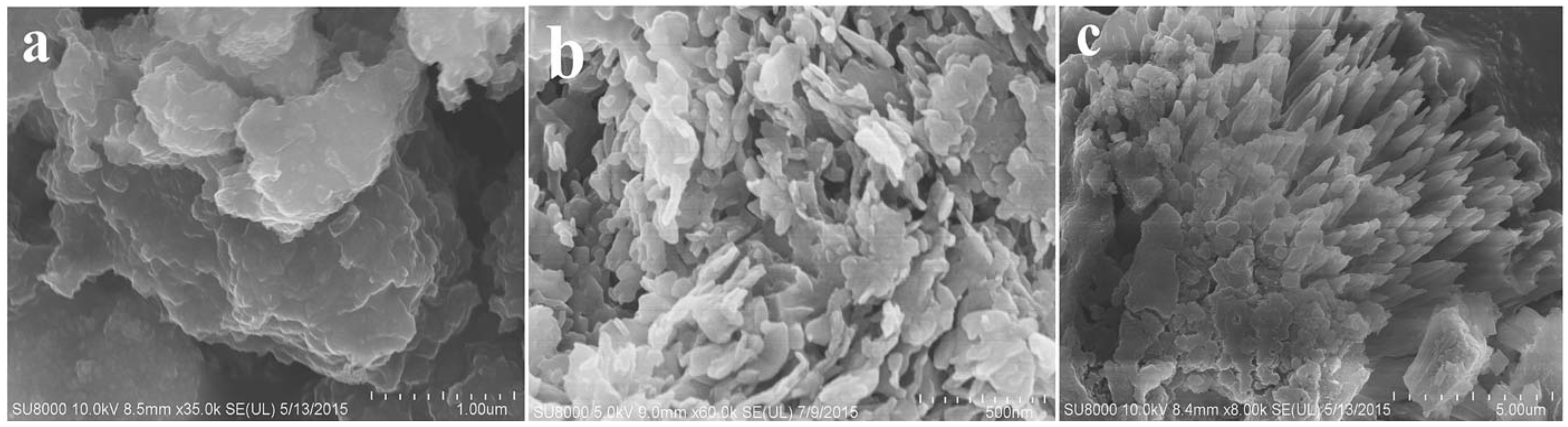 Catalysts 12 00586 g021 Catalysts 12 00586 g021