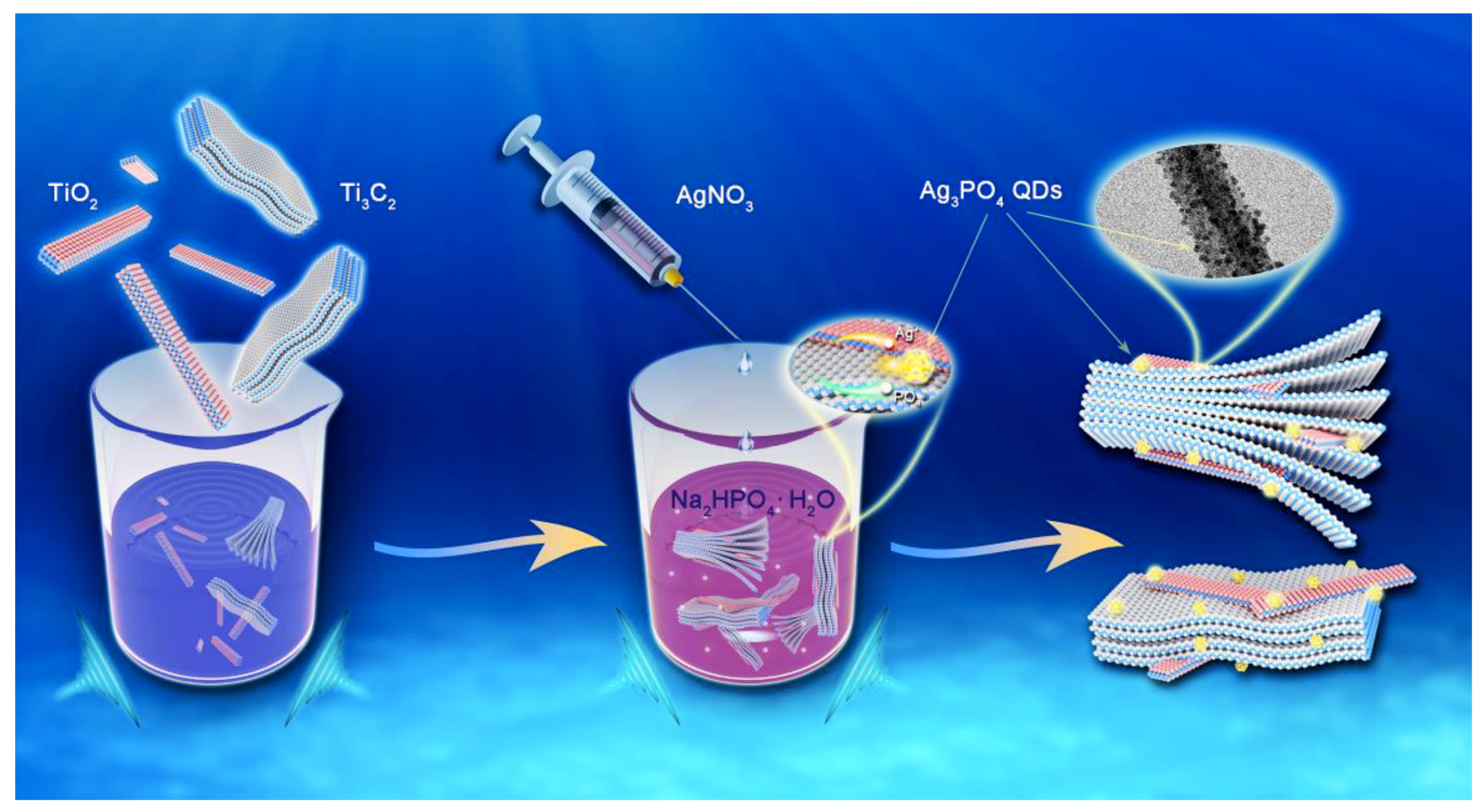 Catalysts 12 00599 g006