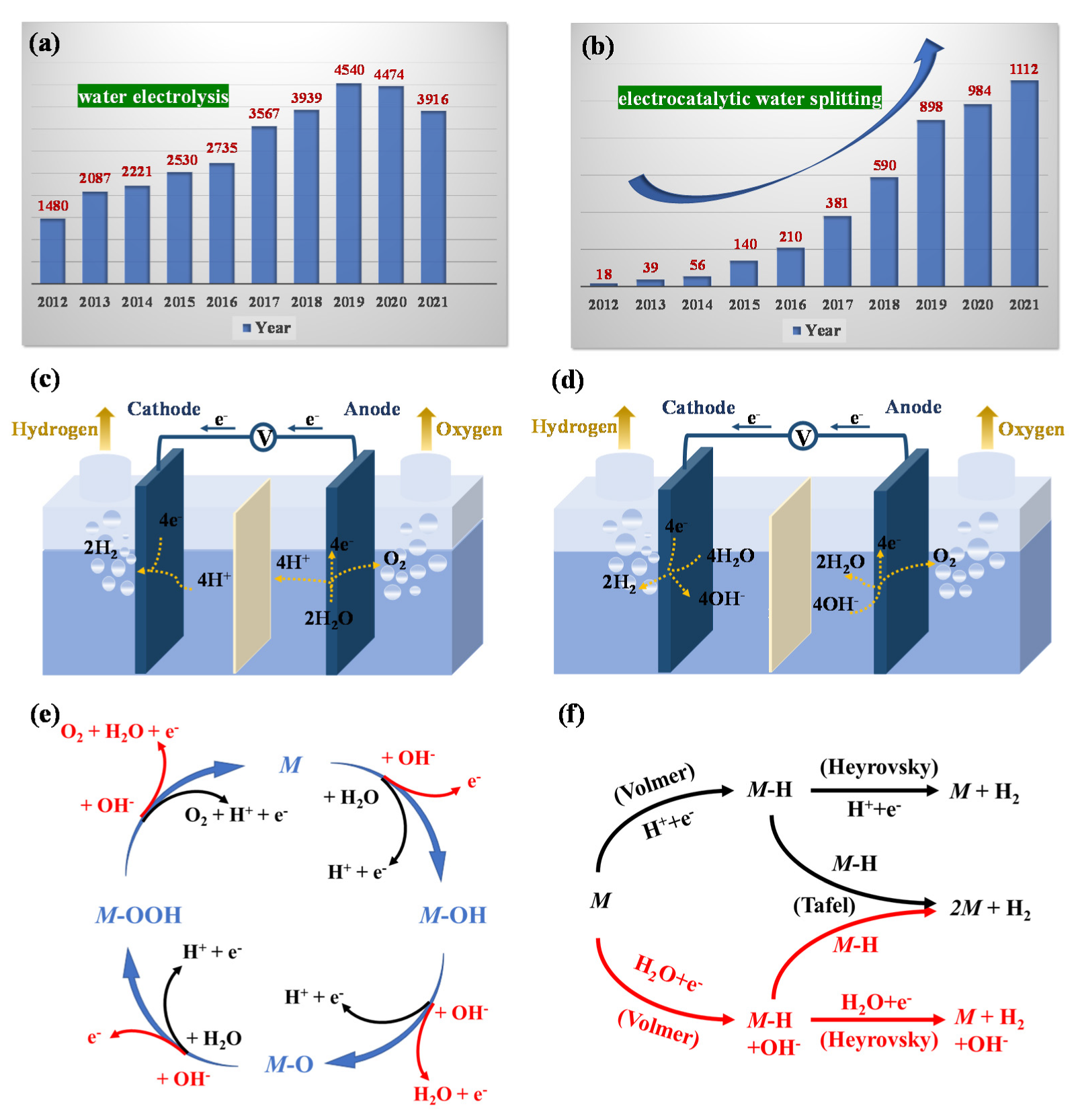 Catalysts 12 00601 g001