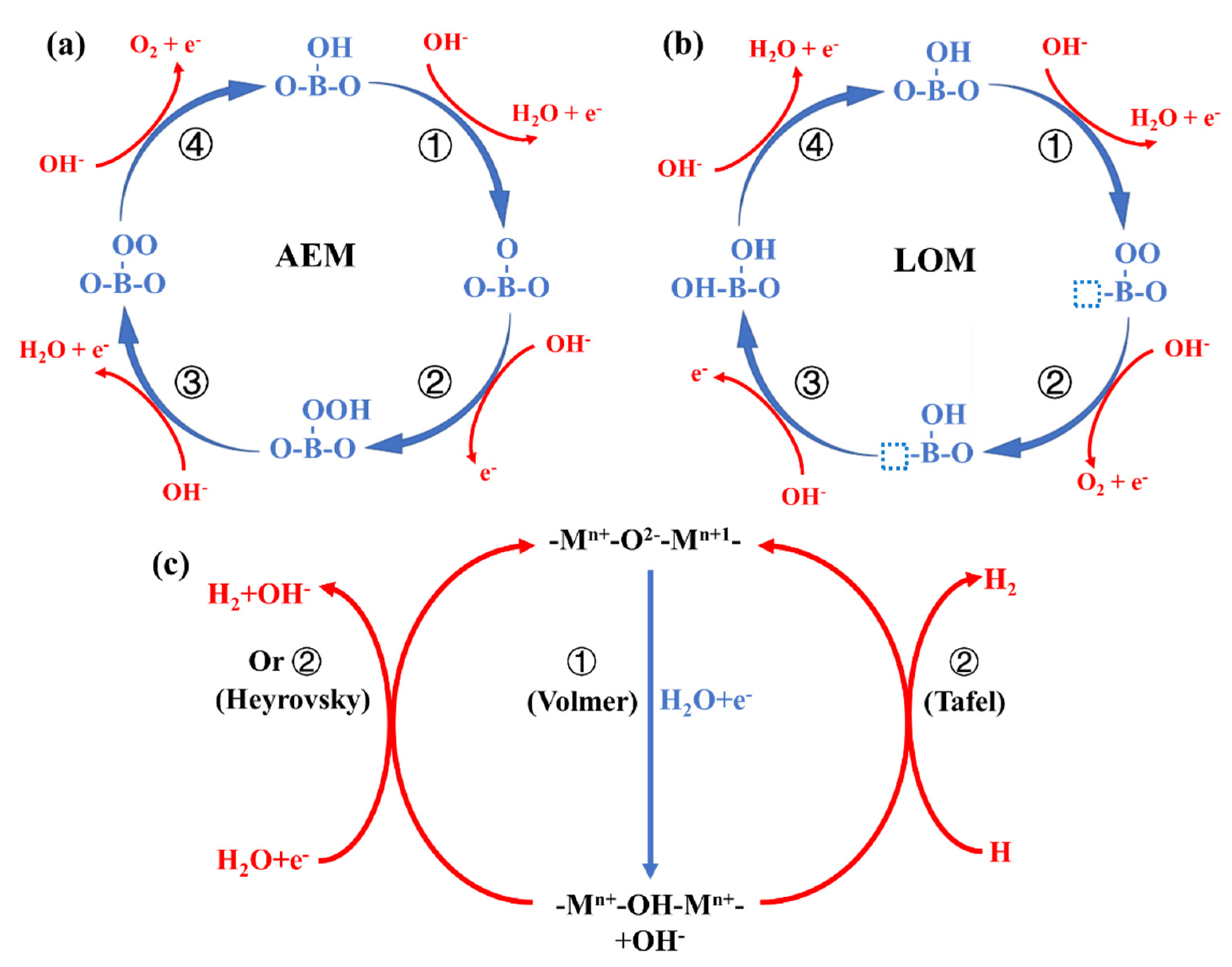 Catalysts 12 00601 g002