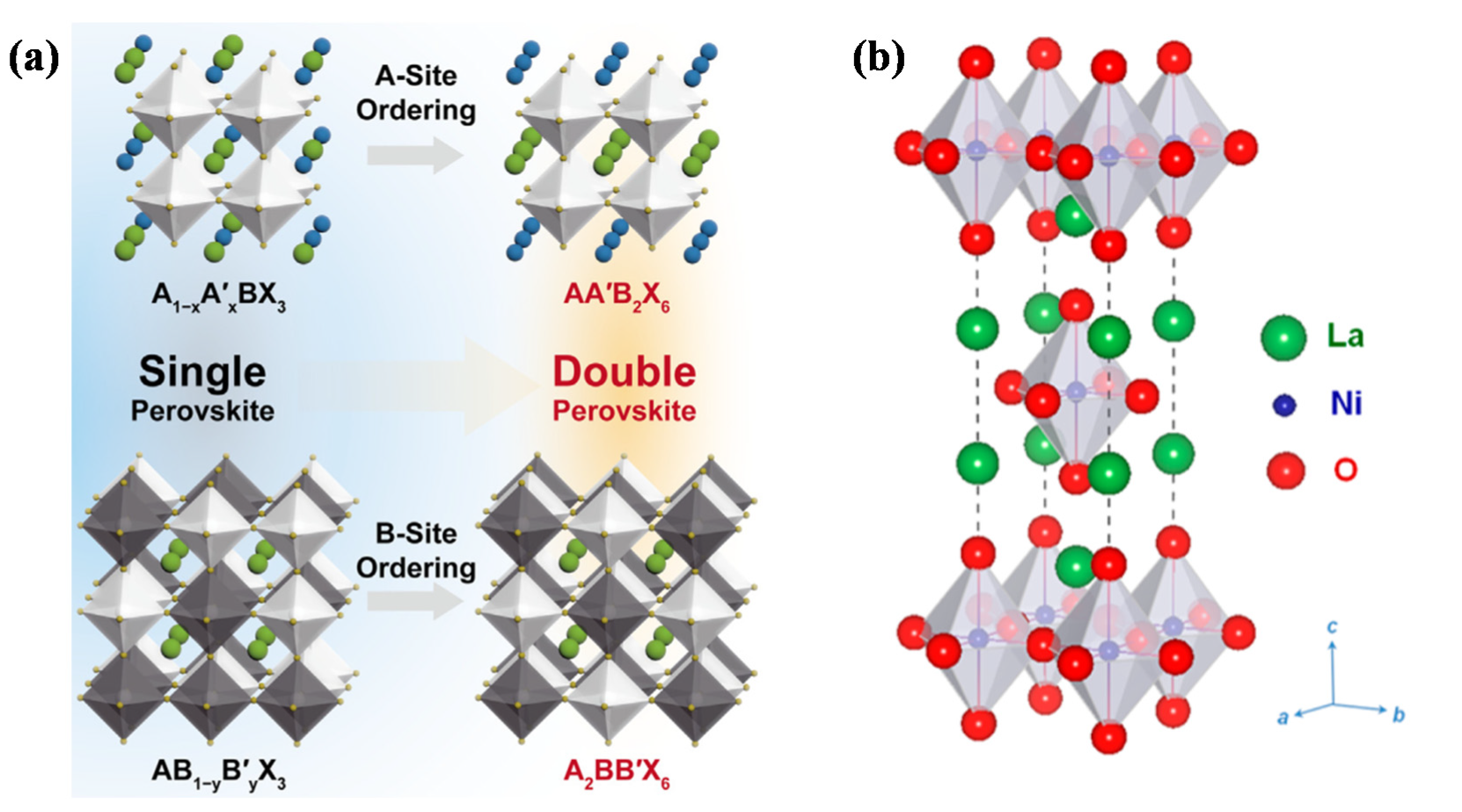 Catalysts 12 00601 g004