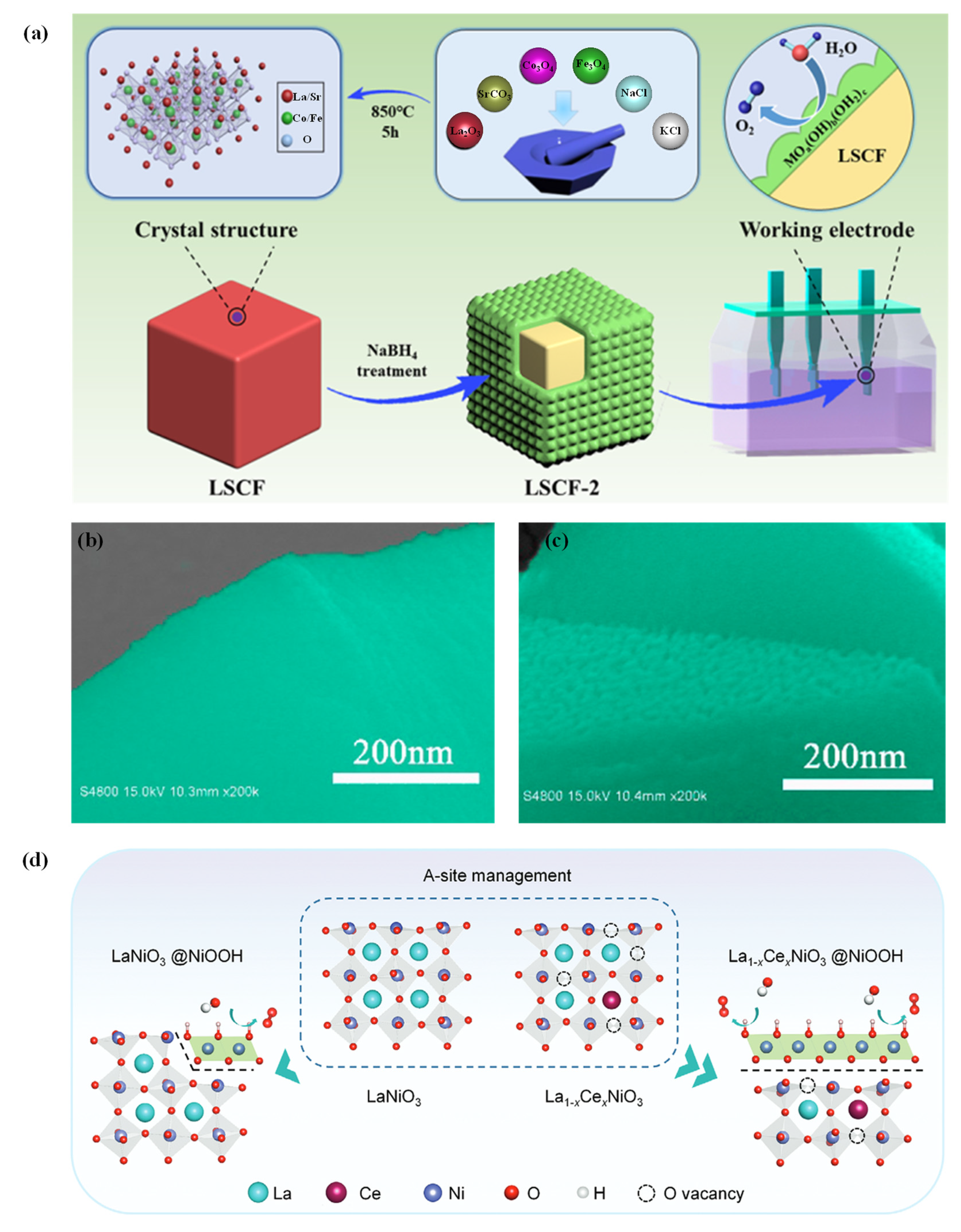 Catalysts 12 00601 g010
