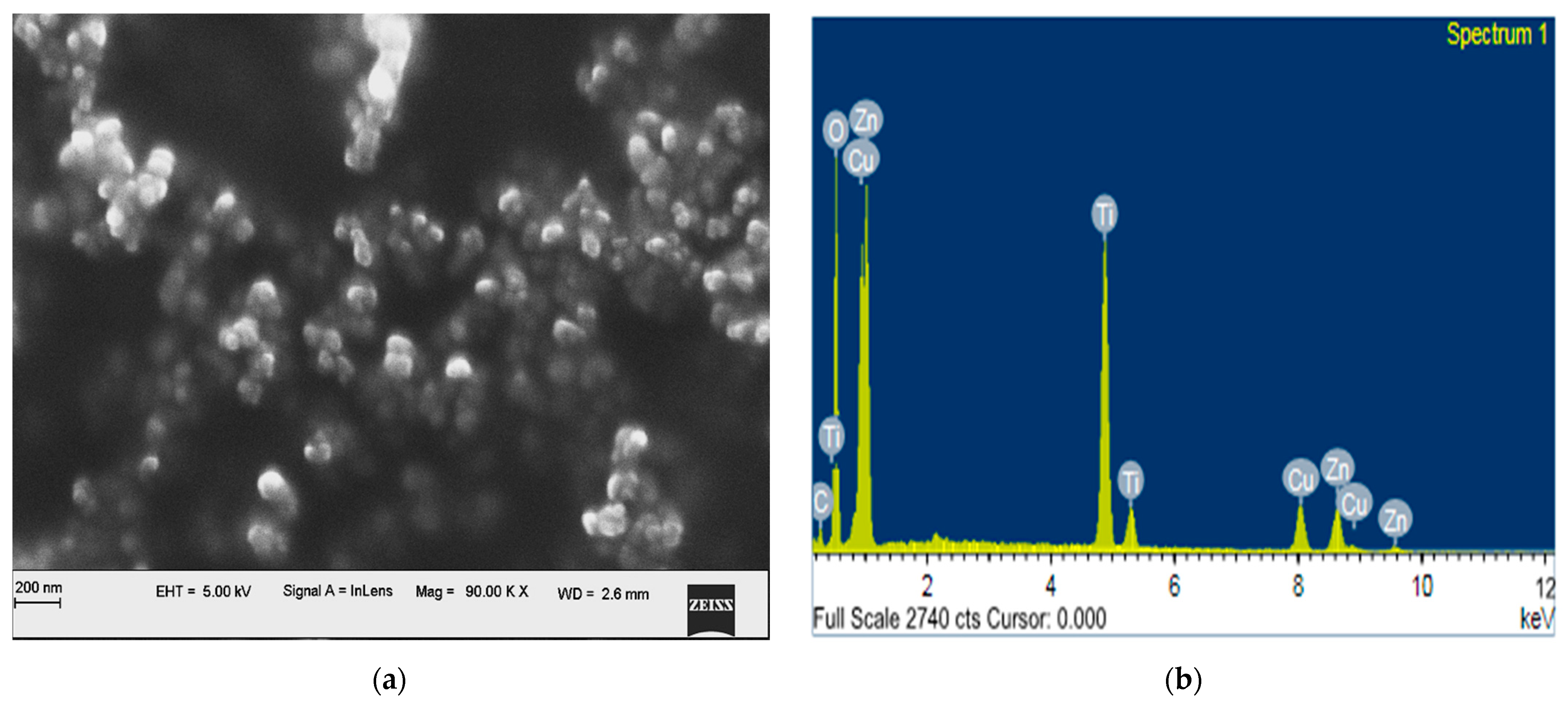 Catalysts 12 00605 g002a