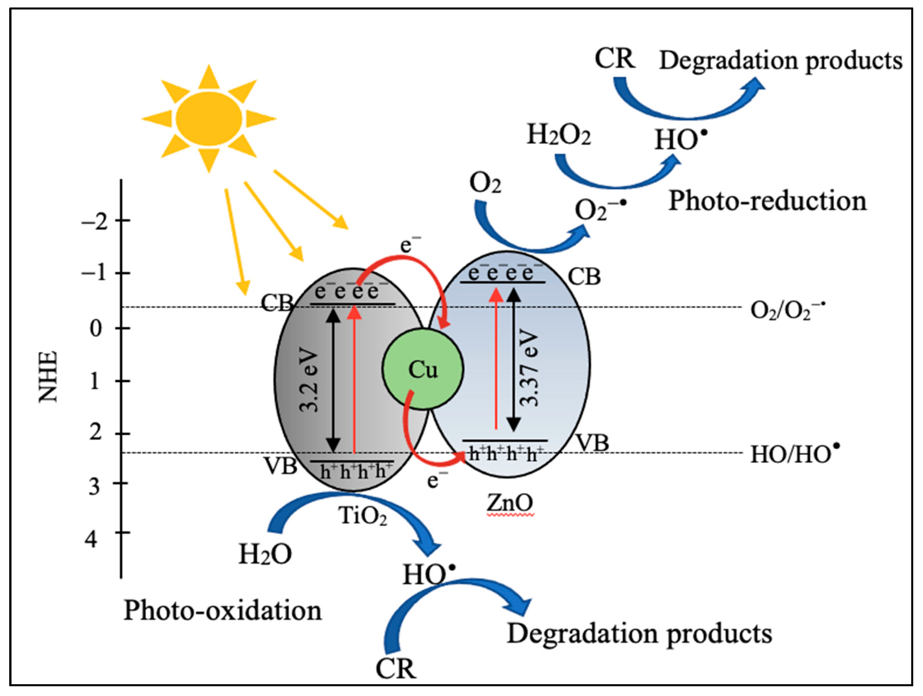Catalysts 12 00605 g010
