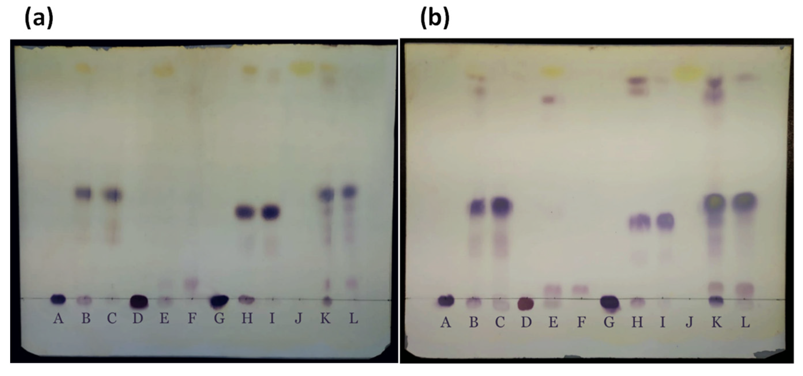 Catalysts 12 00610 g001