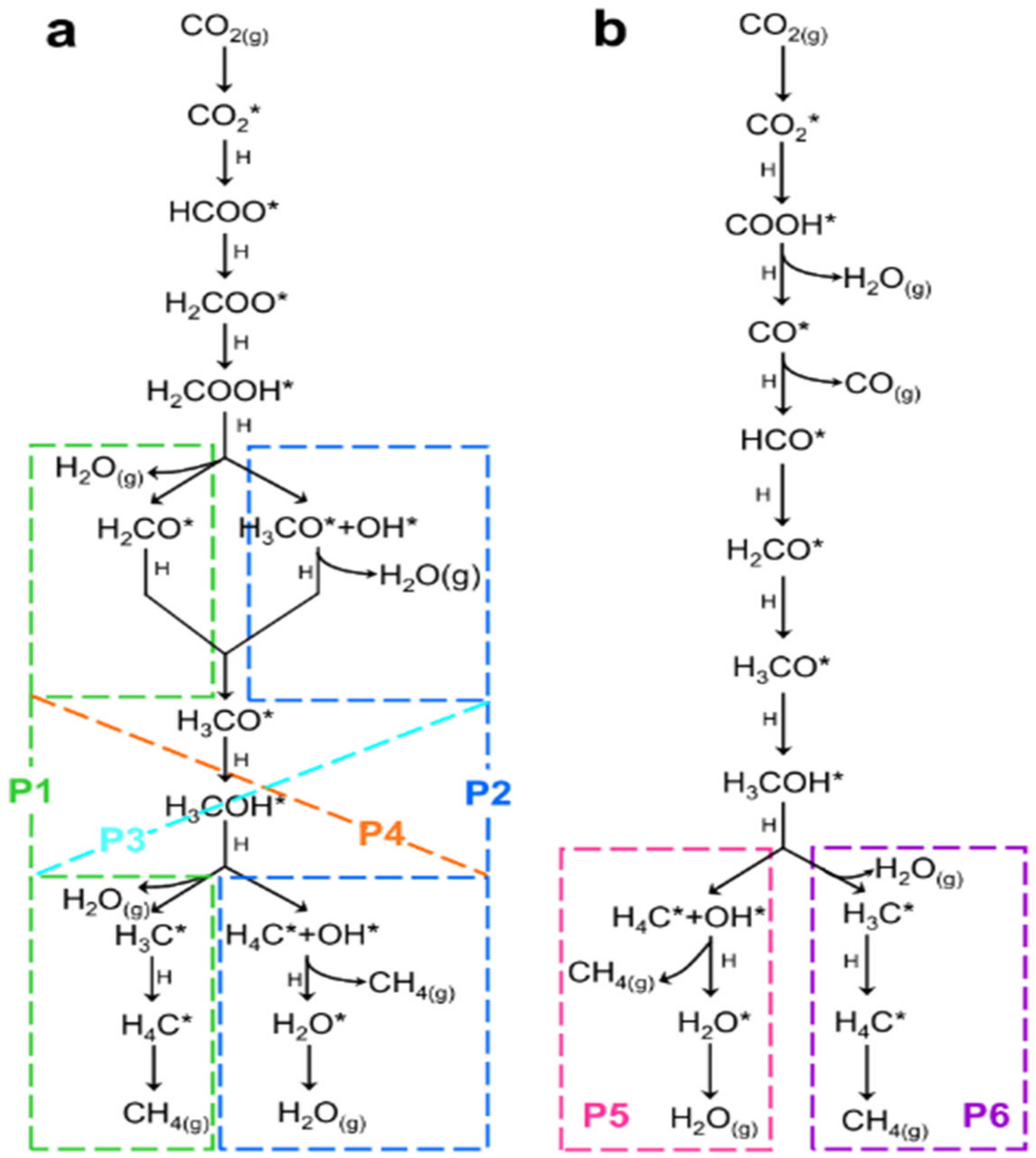 Catalysts 12 00612 g002 Catalysts 12 00612 g002
