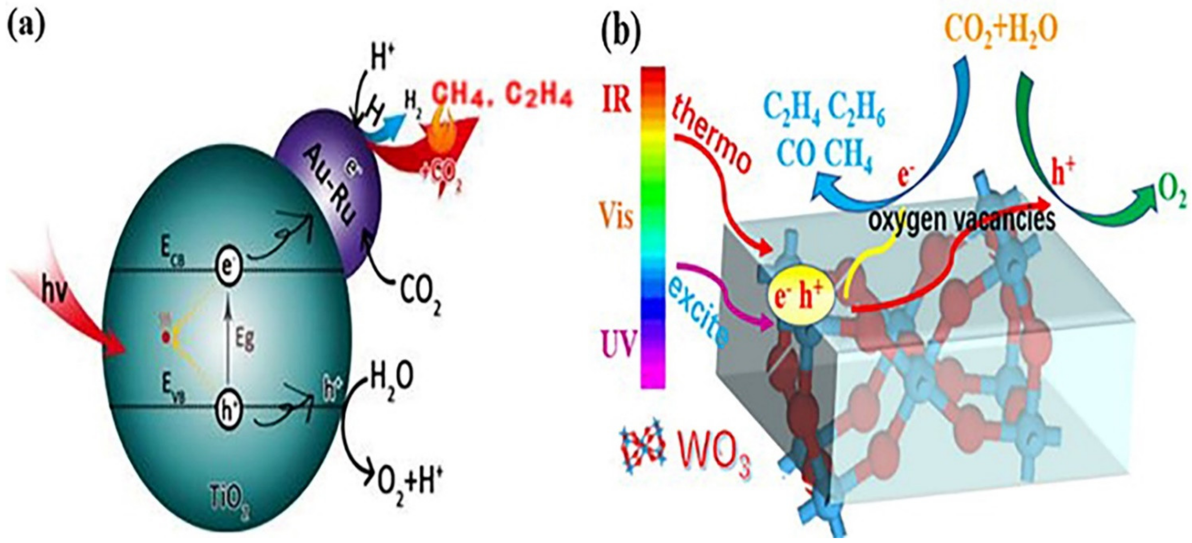 Catalysts 12 00612 g004 Catalysts 12 00612 g004