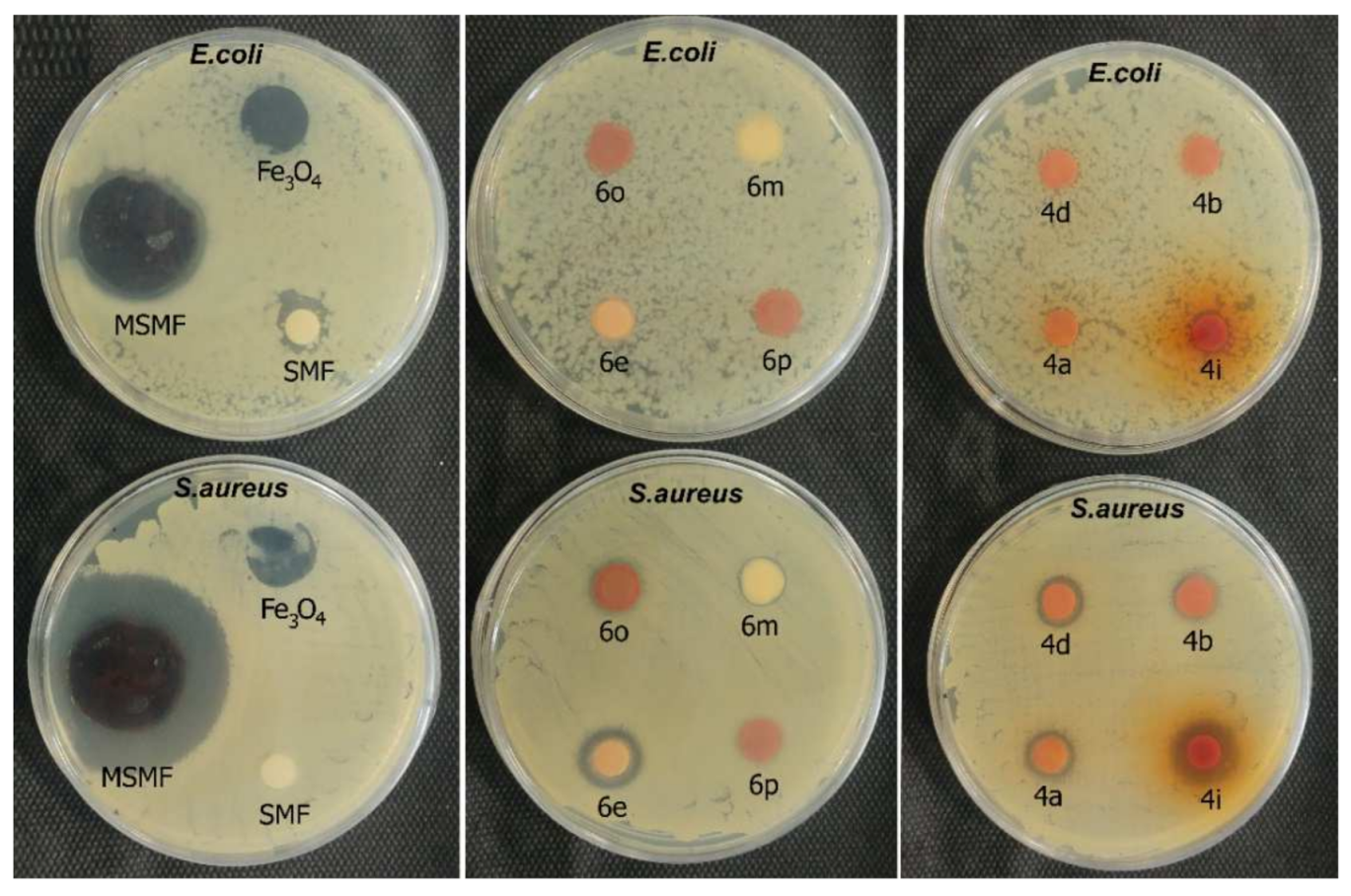 Catalysts 12 00626 g010