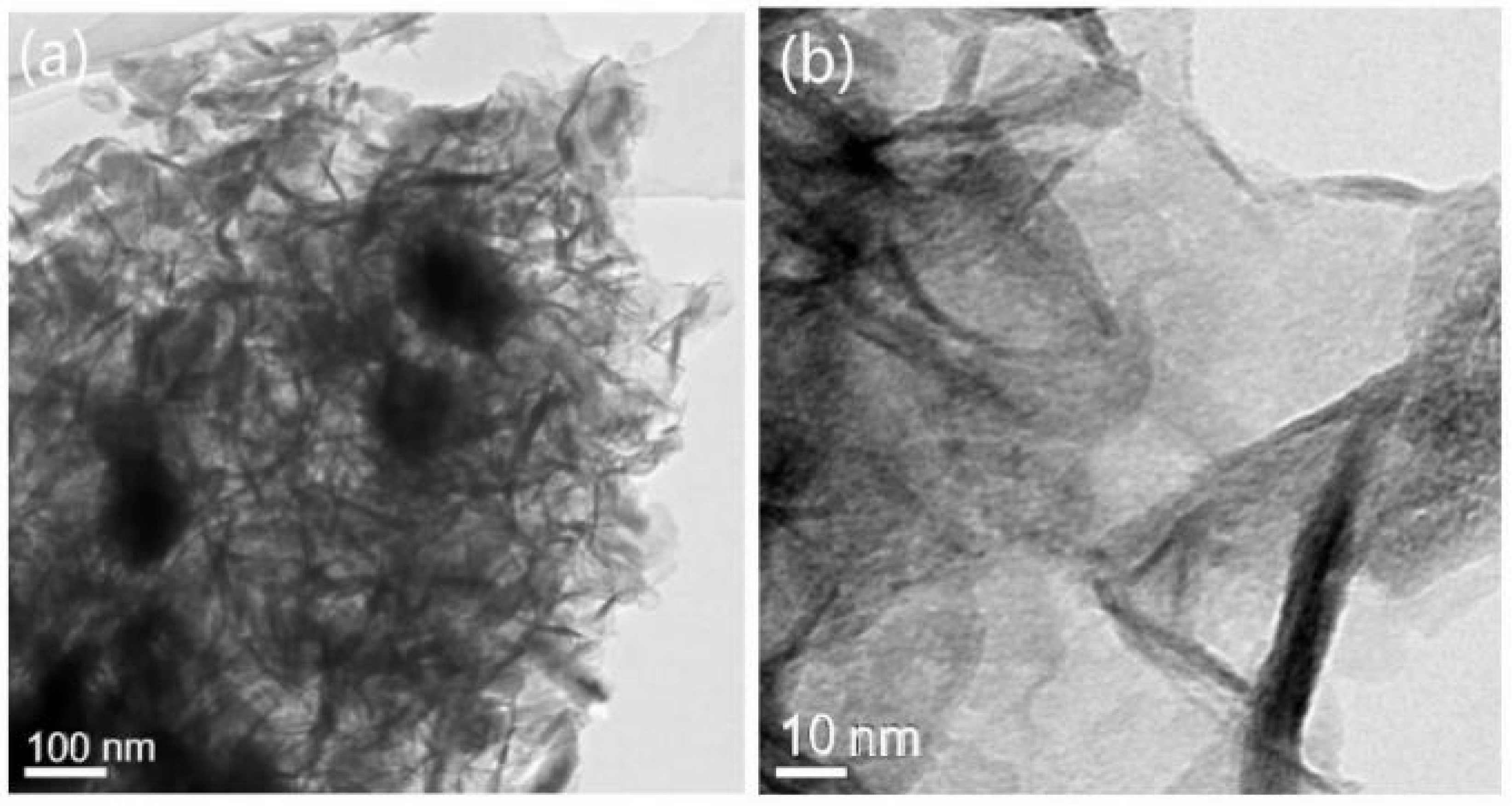 Catalysts 12 00646 g003