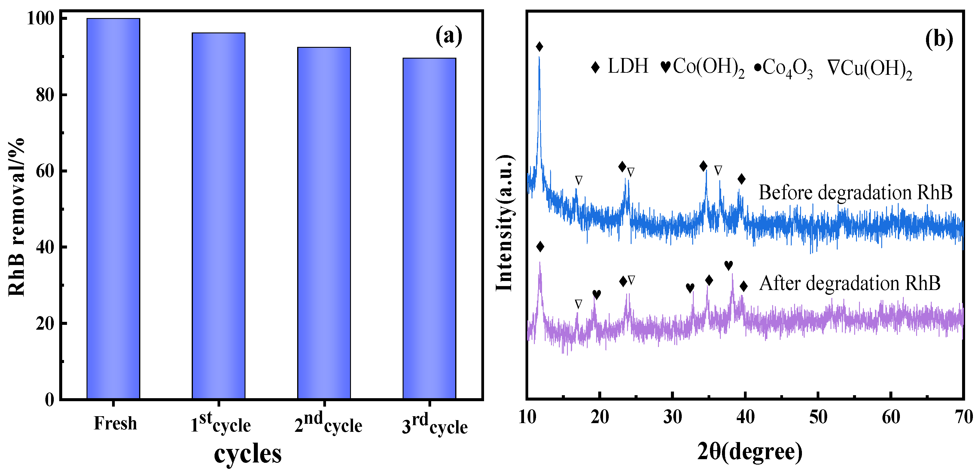 Catalysts 12 00646 g010