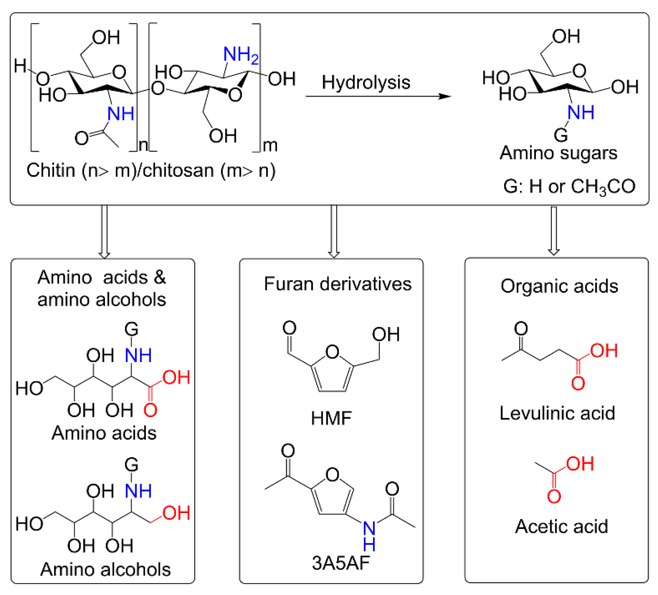 Catalysts 12 00653 sch001