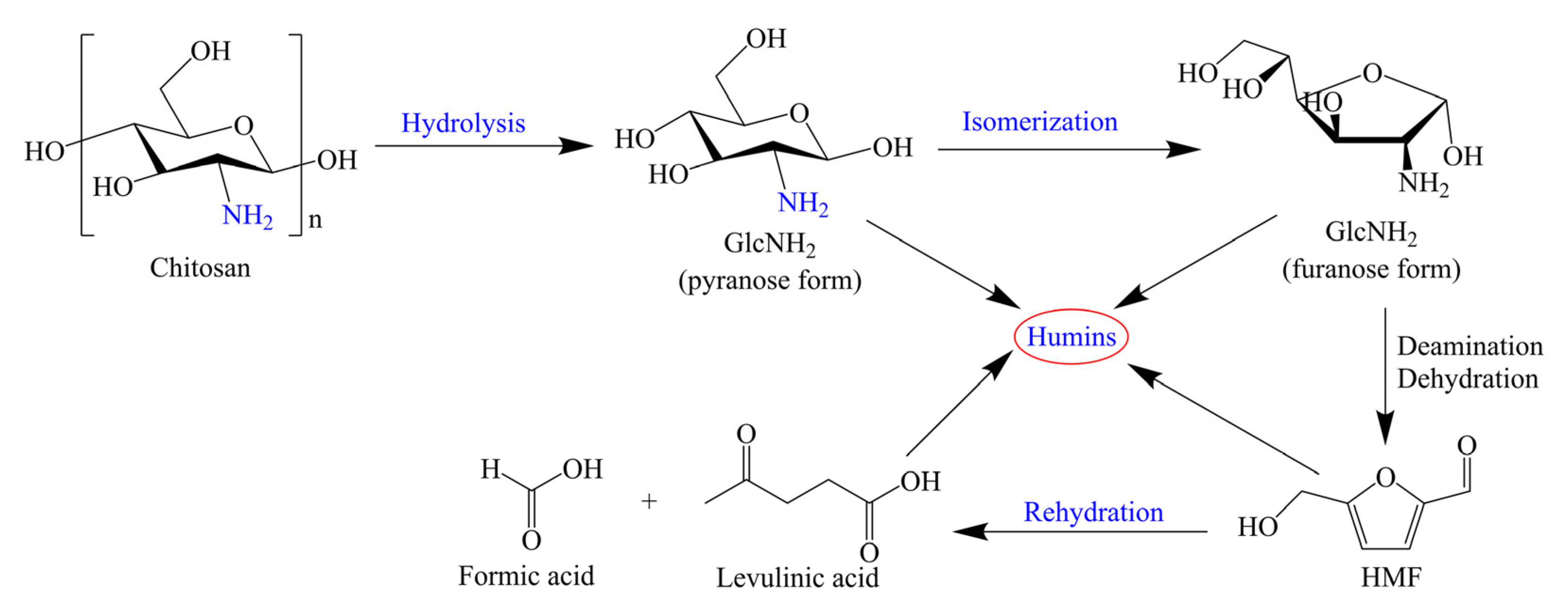 Catalysts 12 00653 sch002