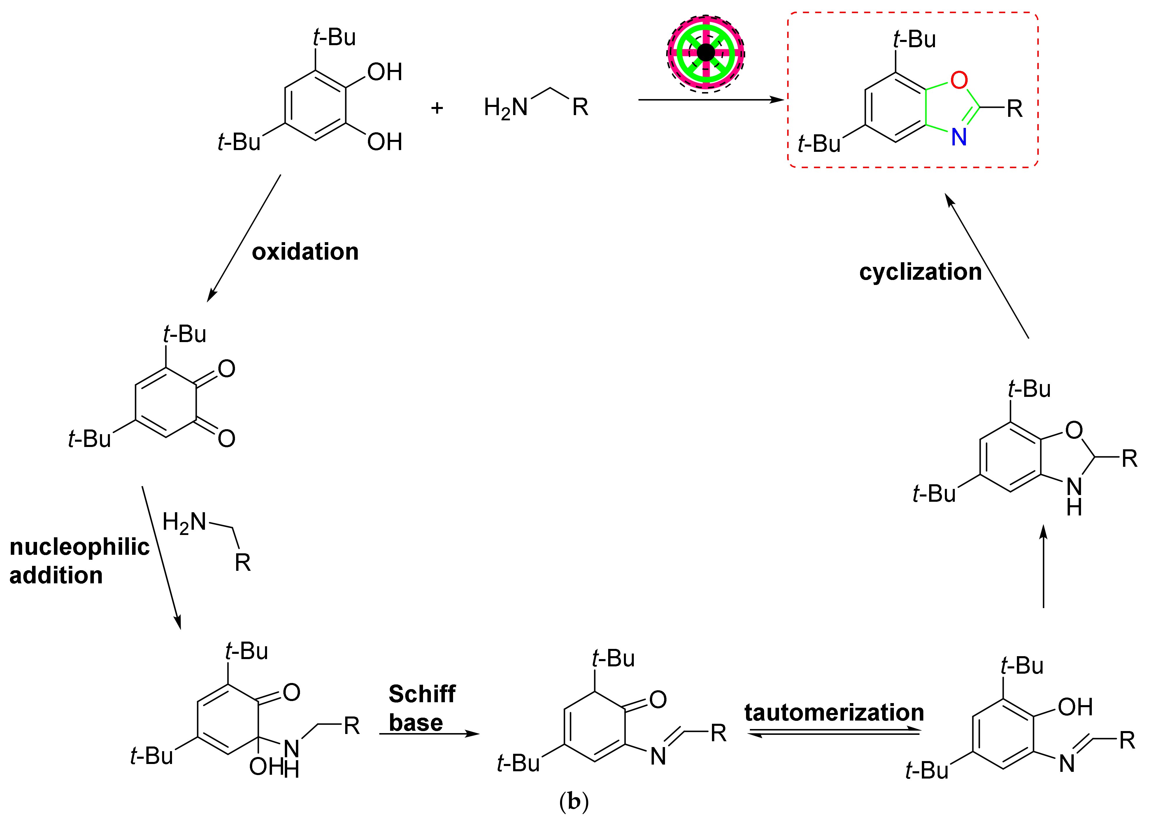 Catalysts 12 00657 sch014b