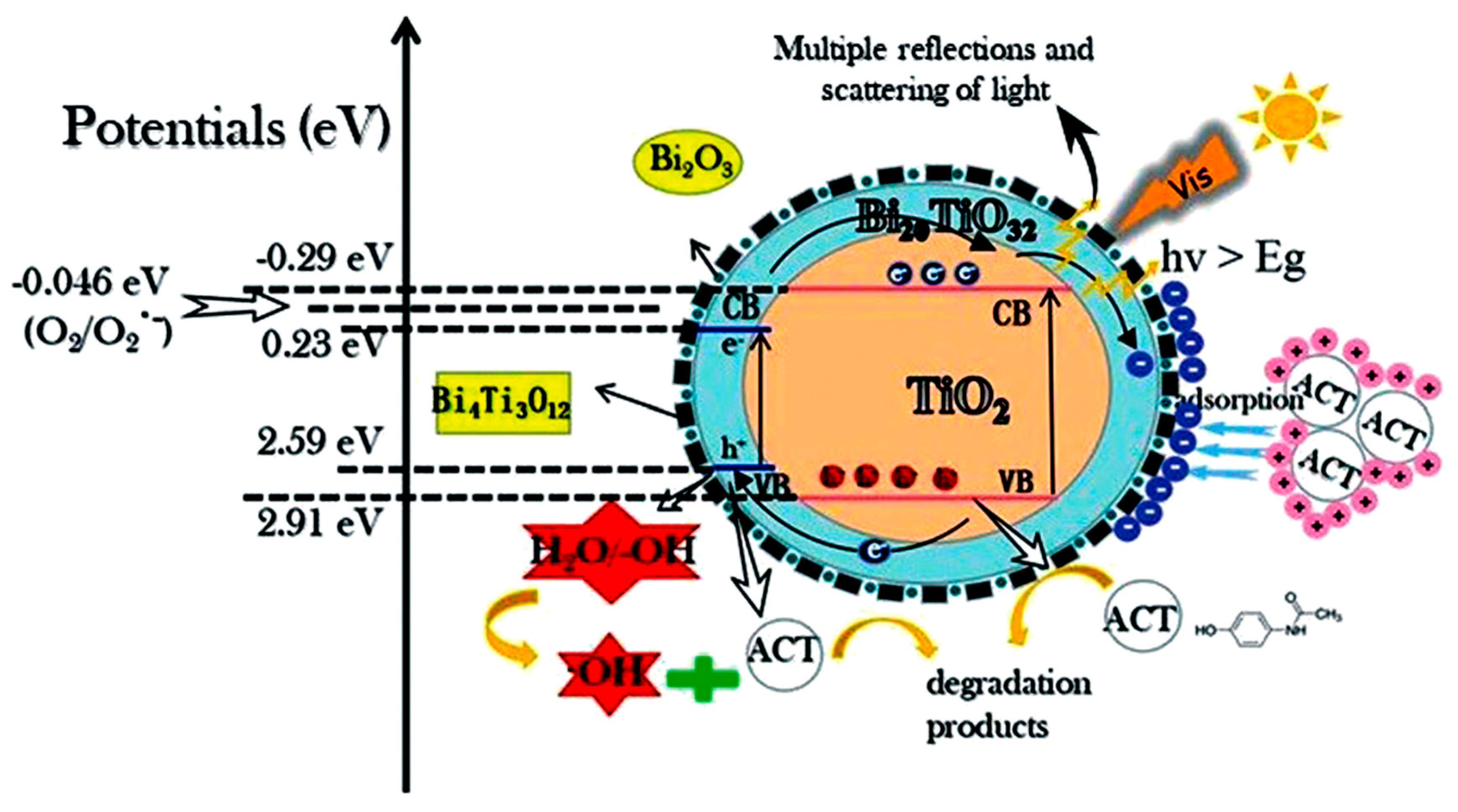Catalysts 12 00667 g002