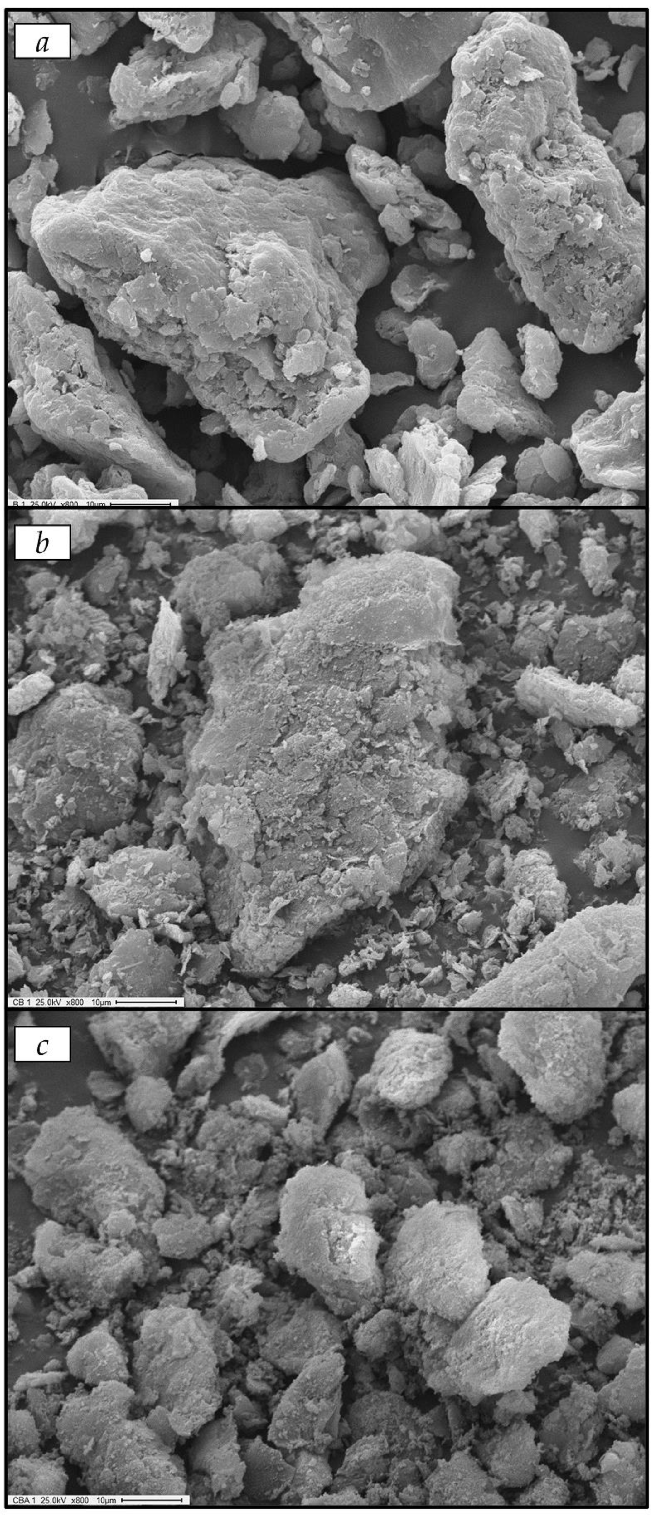 Catalysts 12 00673 g001