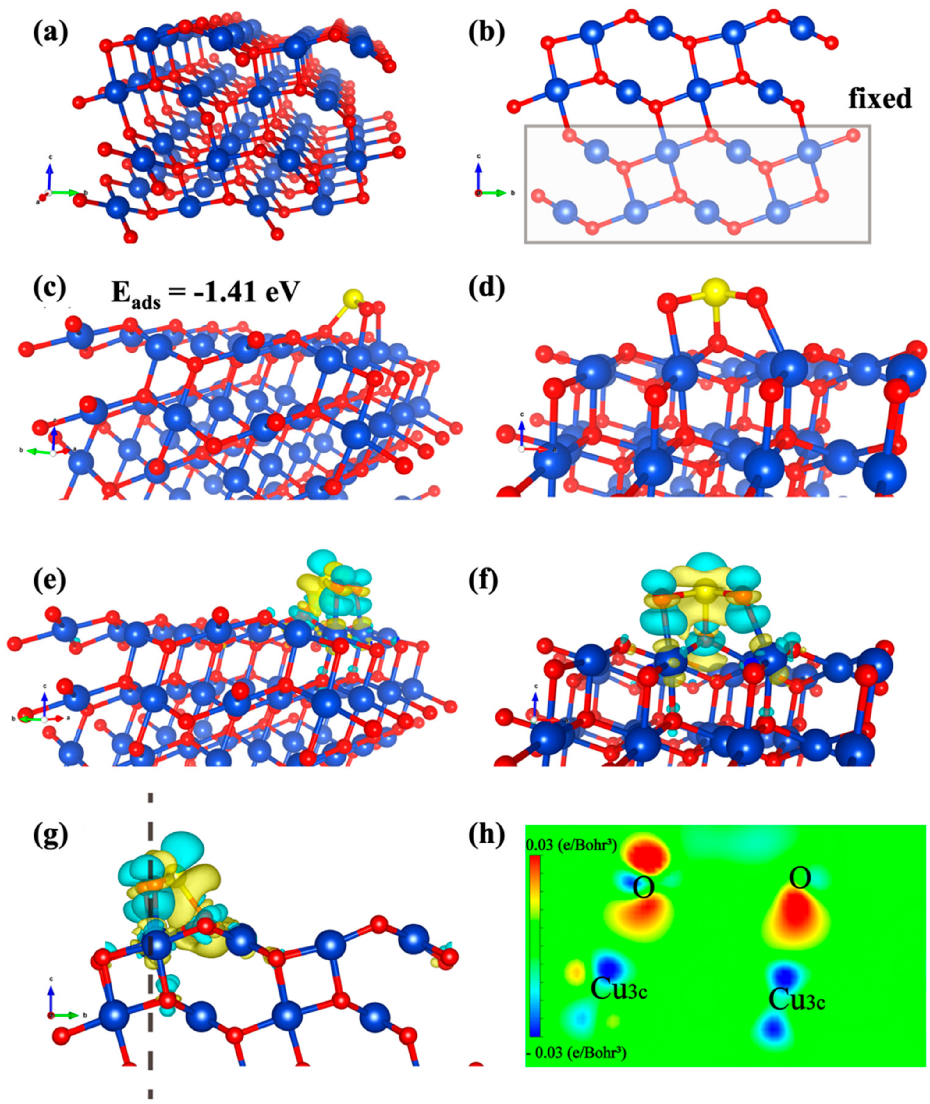 Catalysts 12 00689 g004