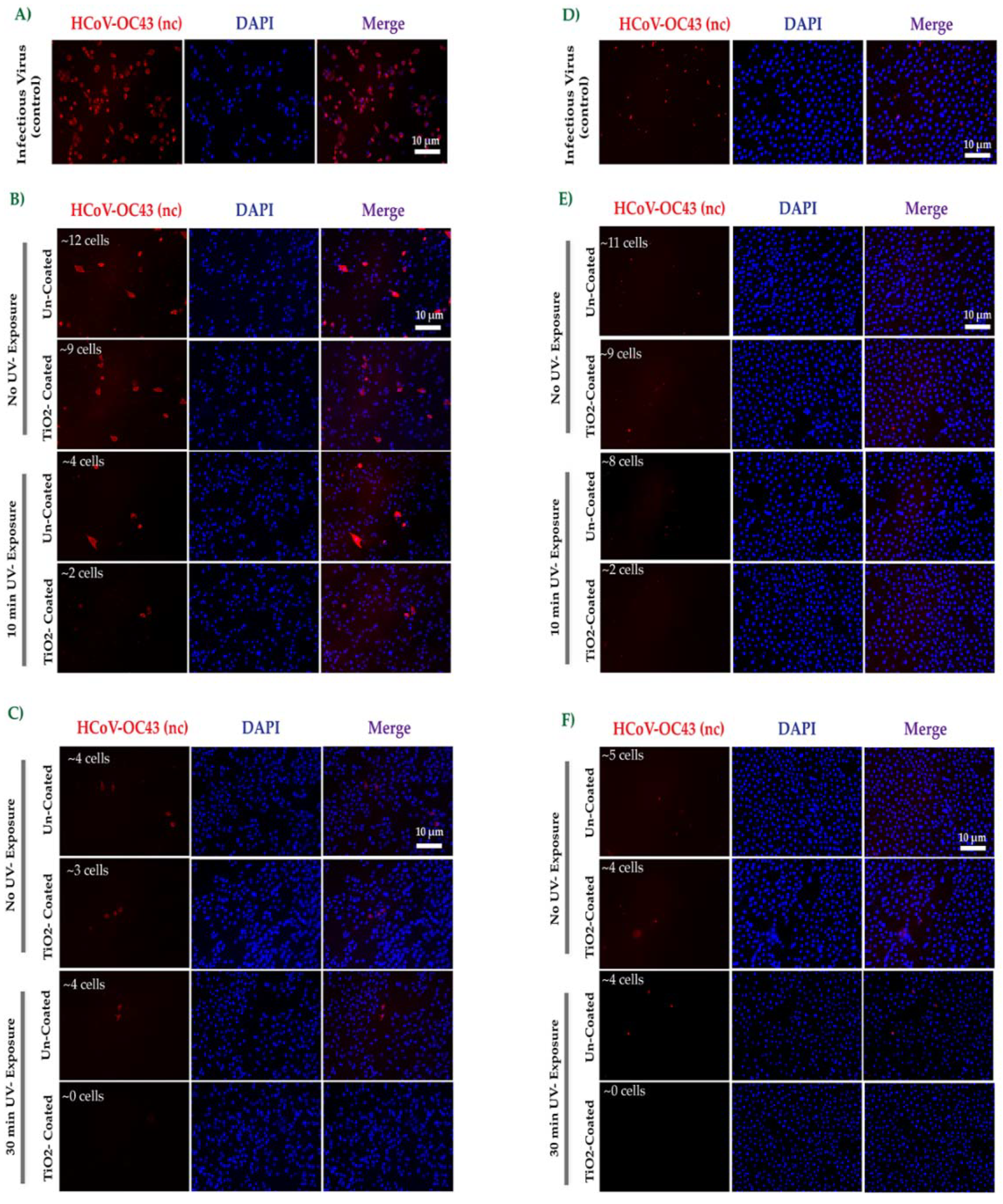 Catalysts 12 00690 g004