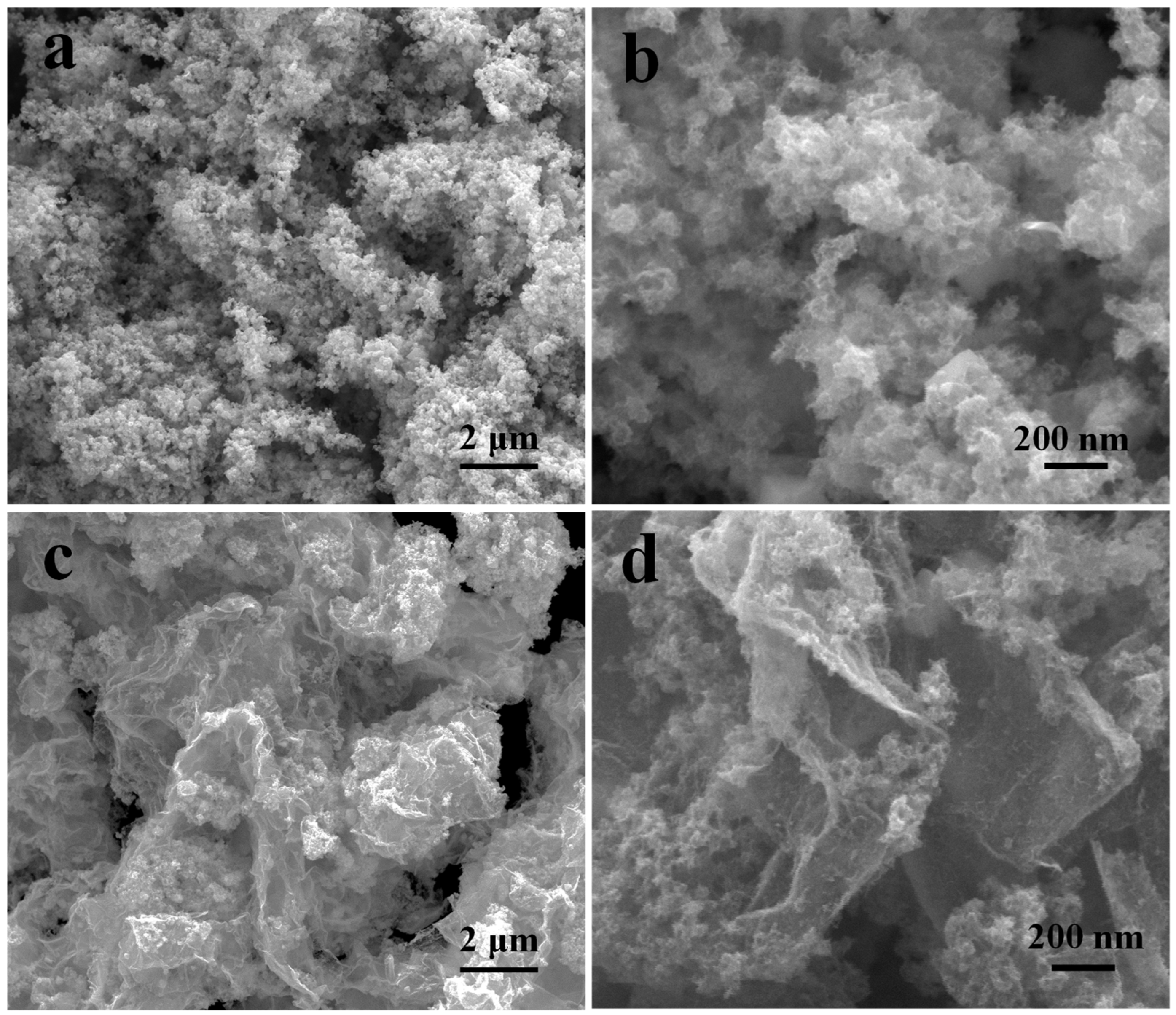 Catalysts 12 00701 g003