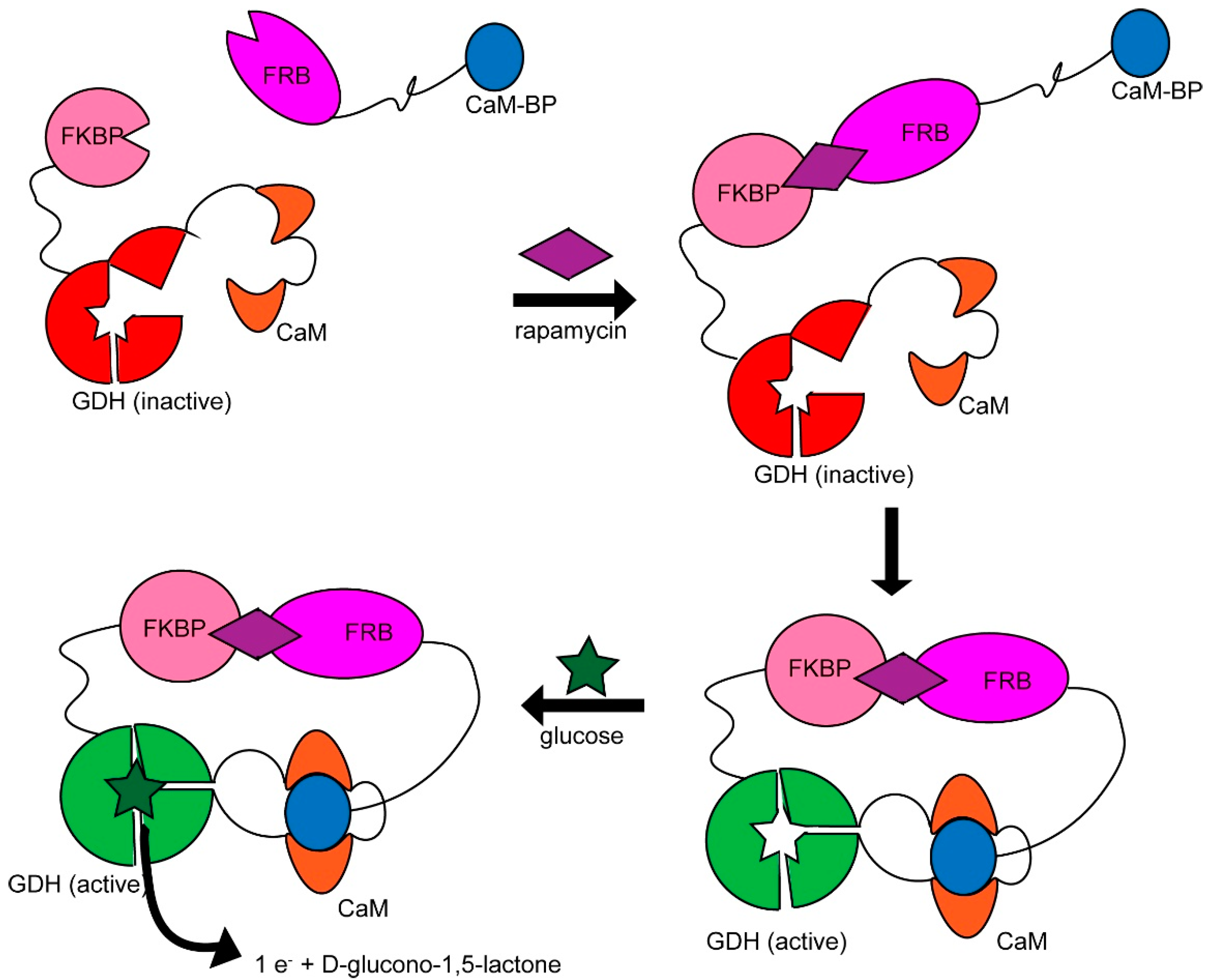 Catalysts 12 00712 g003 Catalysts 12 00712 g003