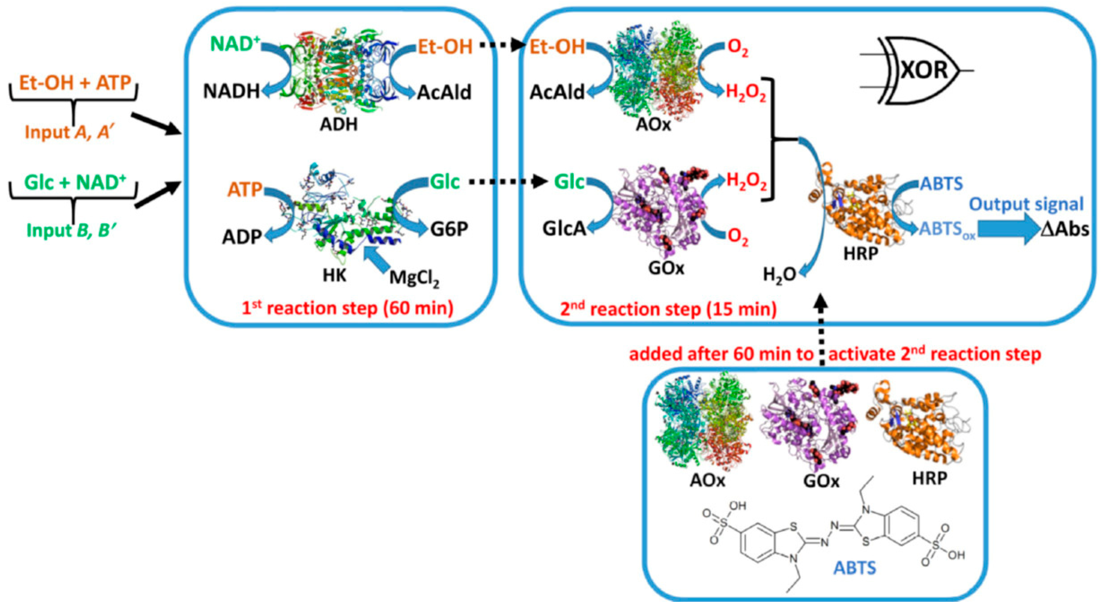 Catalysts 12 00712 g004 Catalysts 12 00712 g004
